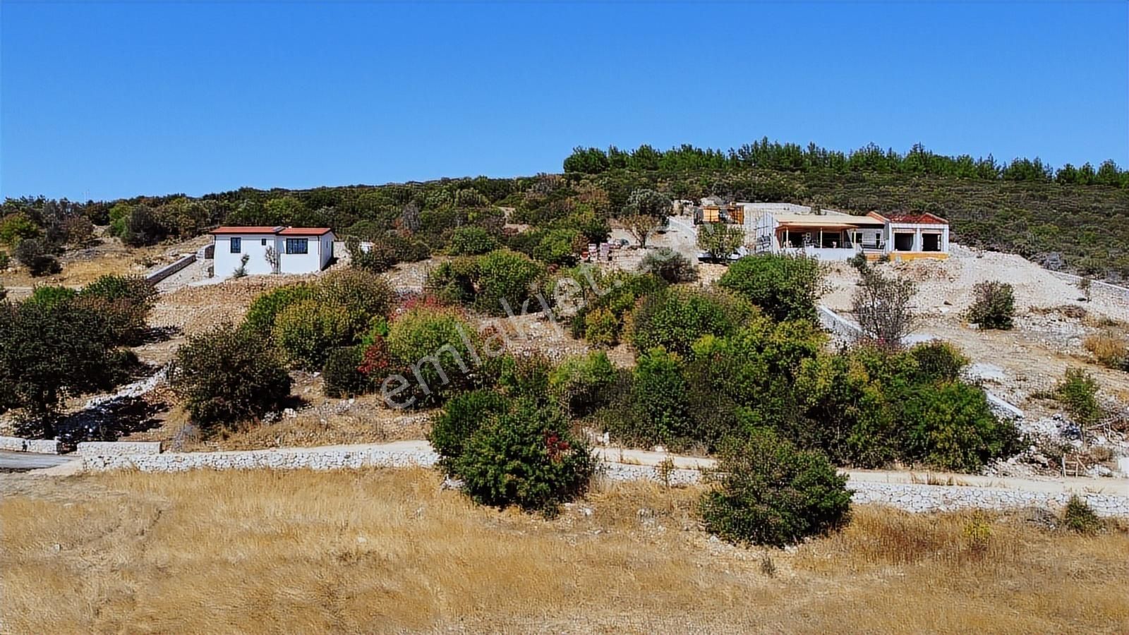Urla Barbaros Köyünde Manzaralı Tarla - Görsel 2