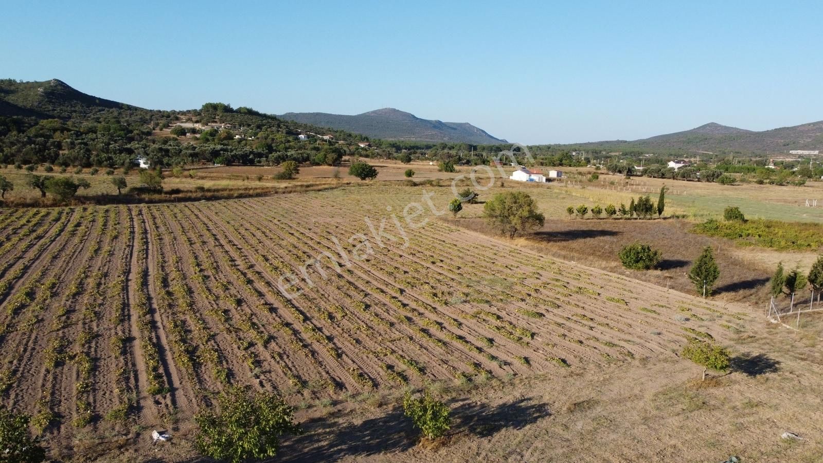 Urla Barbaros Köyünde 5120 M² Tarla - Görsel 12