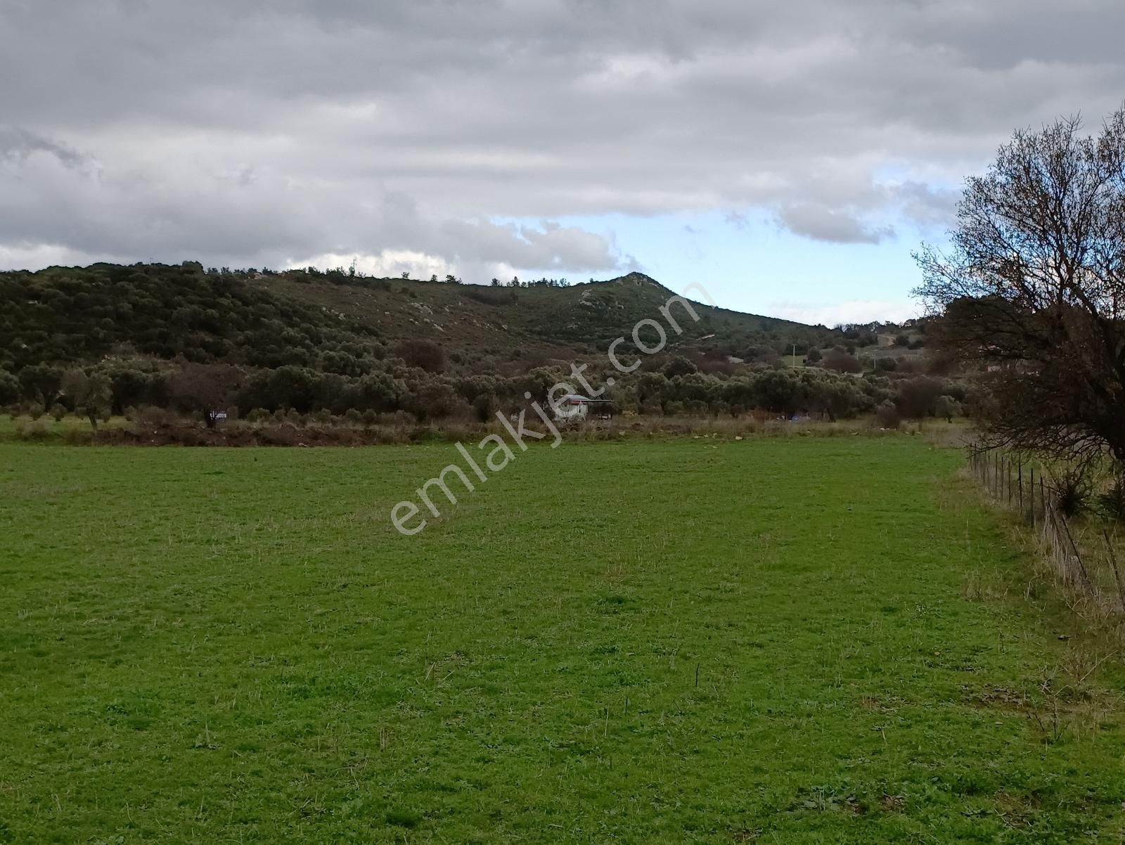 Urla Barbaros Köyünde 5120 M² Tarla - Görsel 8
