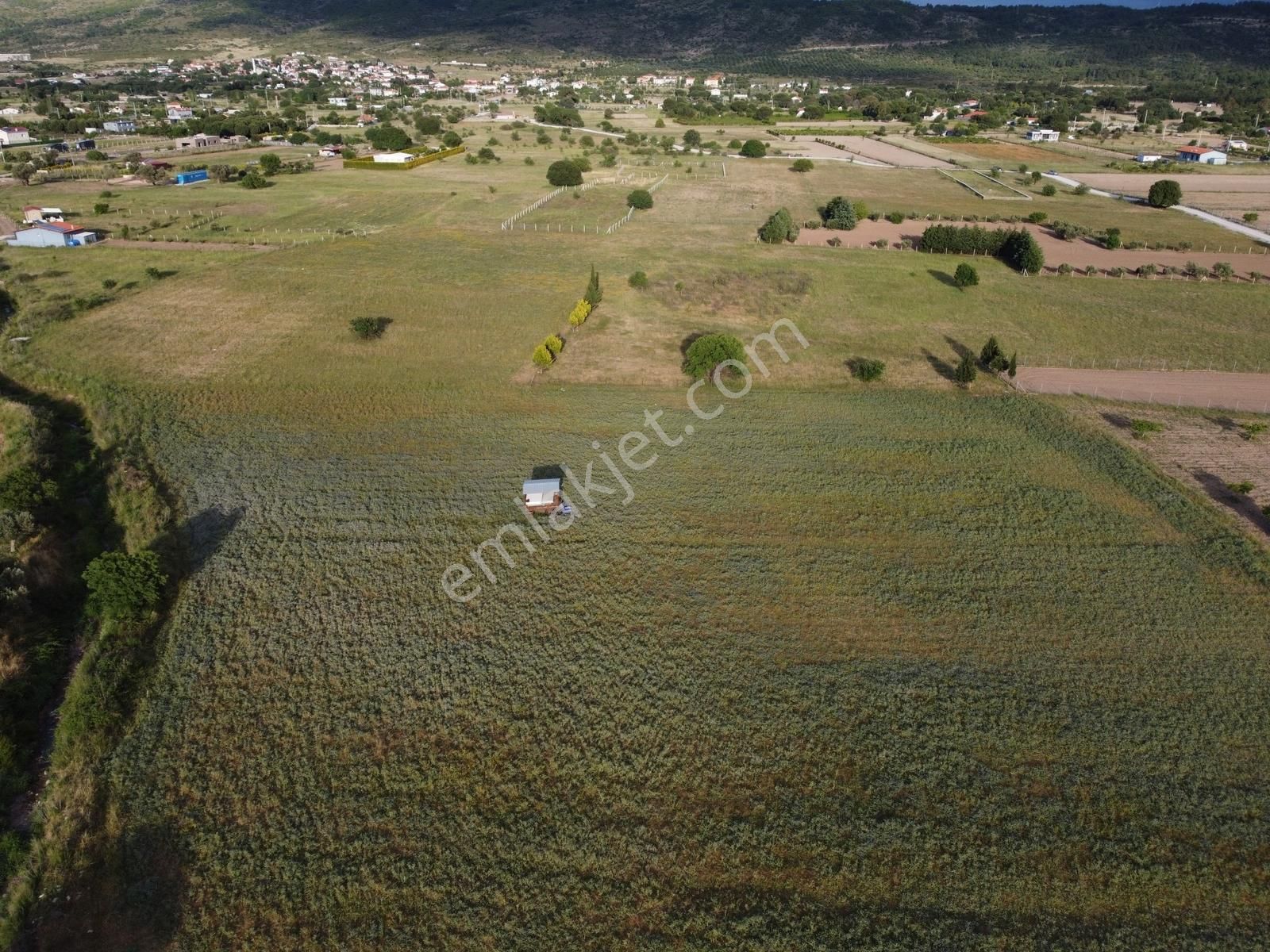 Urla Barbaros Köyünde 5120 M² Tarla - Görsel 3