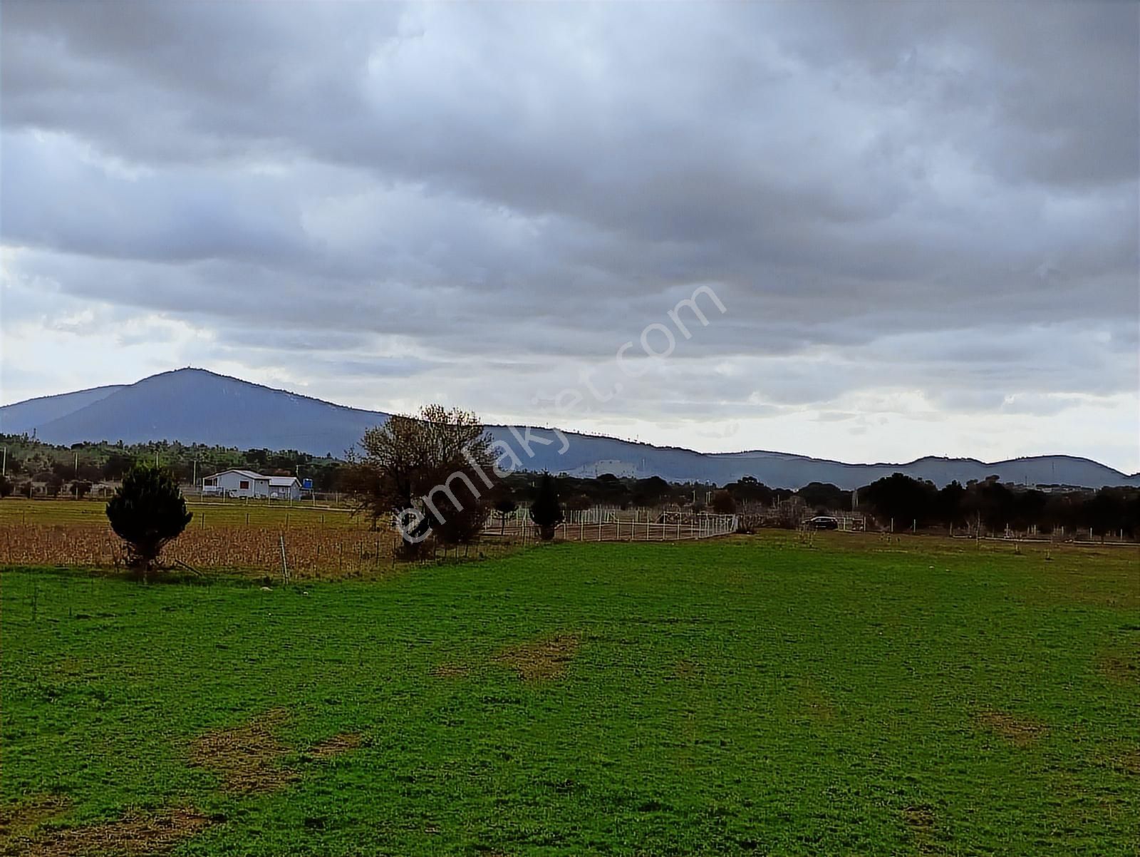 Urla Barbaros Köyünde 5120 M² Tarla - Görsel 2