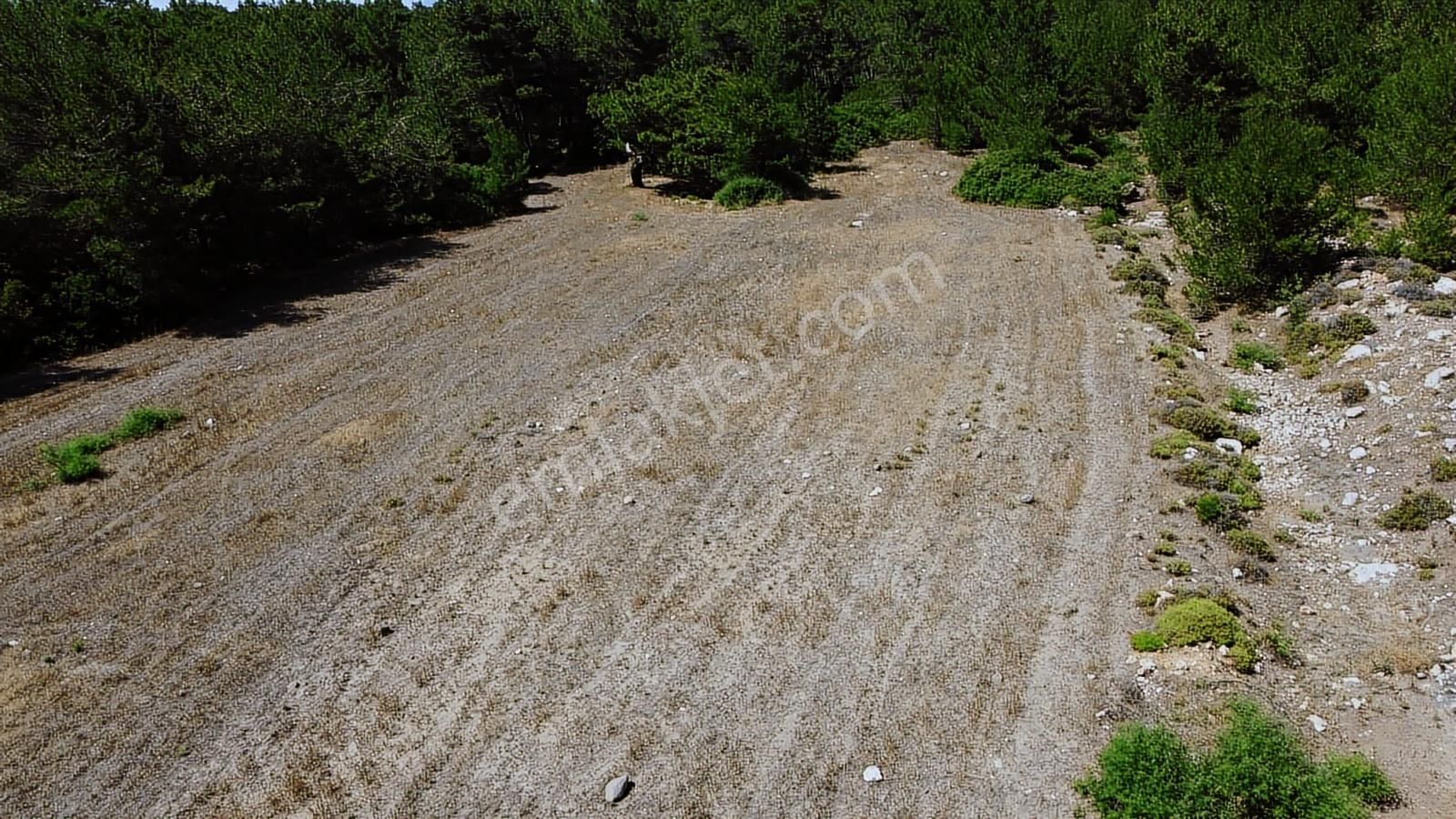 Urla Kadıovacık Köyünde Ormanın İçinde Huzur Dolu Arazi - Görsel 7