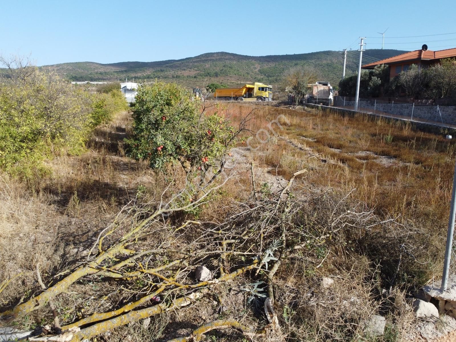 Barbaros Köyünde Yerleşik Alanda Yapılaşabilir Arazi - Görsel 3