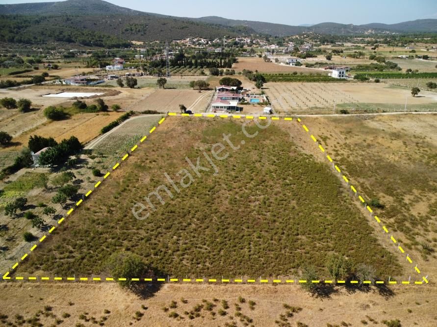 Urla Birgi'de 8.300 M2 Arazi İçinde 180 M2 Ruhsatlı Yapı - Görsel 13