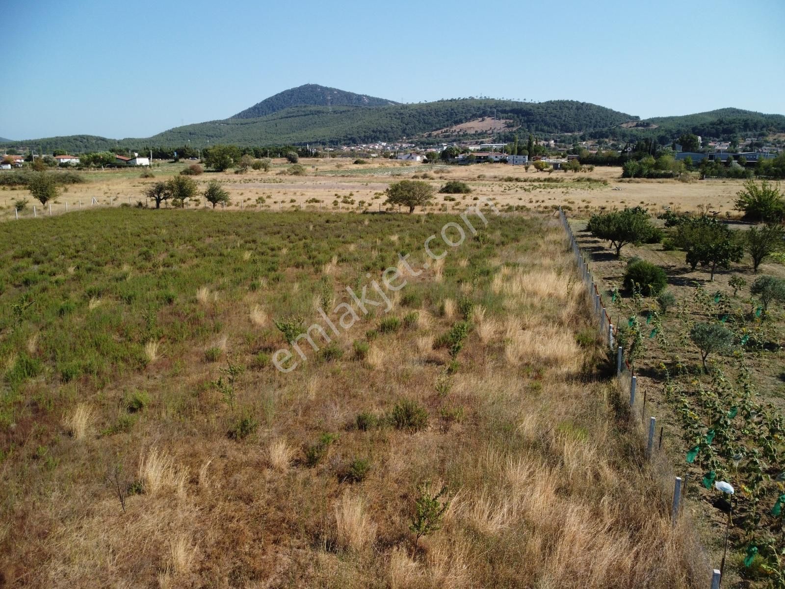 Urla Birgi'de 8.300 M2 Arazi İçinde 180 M2 Ruhsatlı Yapı - Görsel 7