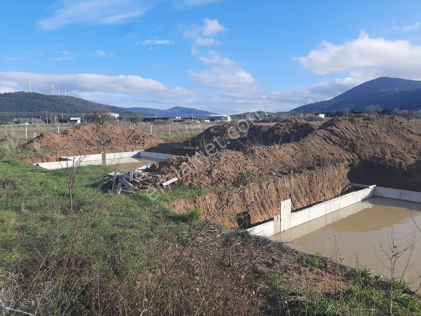 Urla Birgi'de 8.300 M2 Arazi İçinde 180 M2 Ruhsatlı Yapı - Görsel 4
