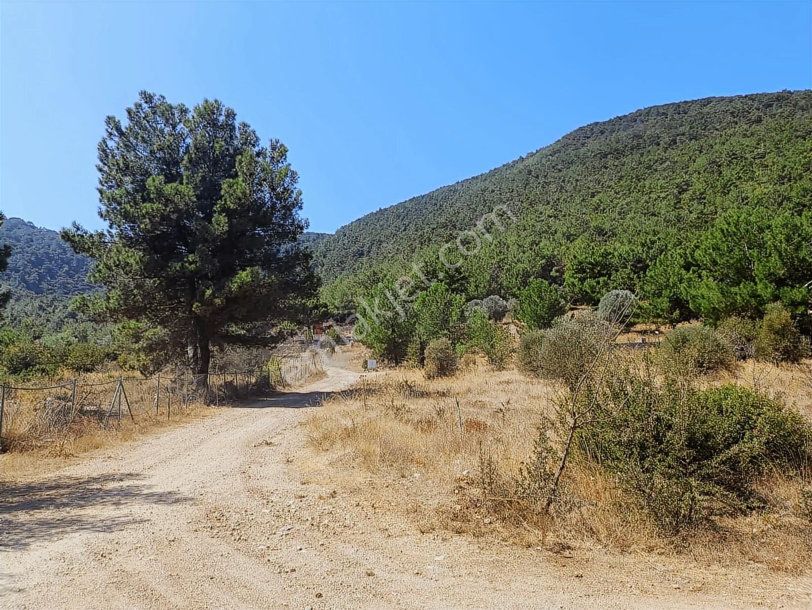 Urla Zeytinler Köyü Yeşil Çizgi Sitesinde Ormana Komşu Parsel - Görsel 6