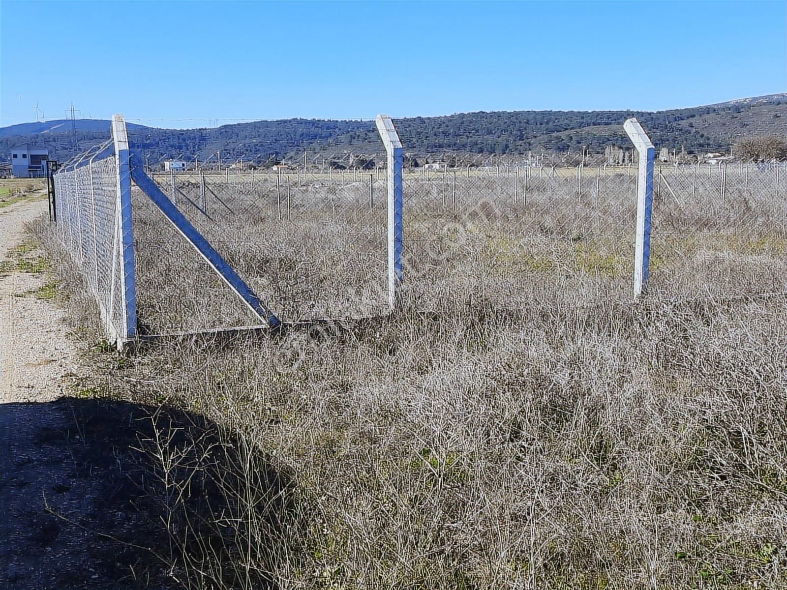 Urla Birgi Köyü'nde Resmi Yolu Mevcut, Dere Cepheli Tarla - Görsel 19