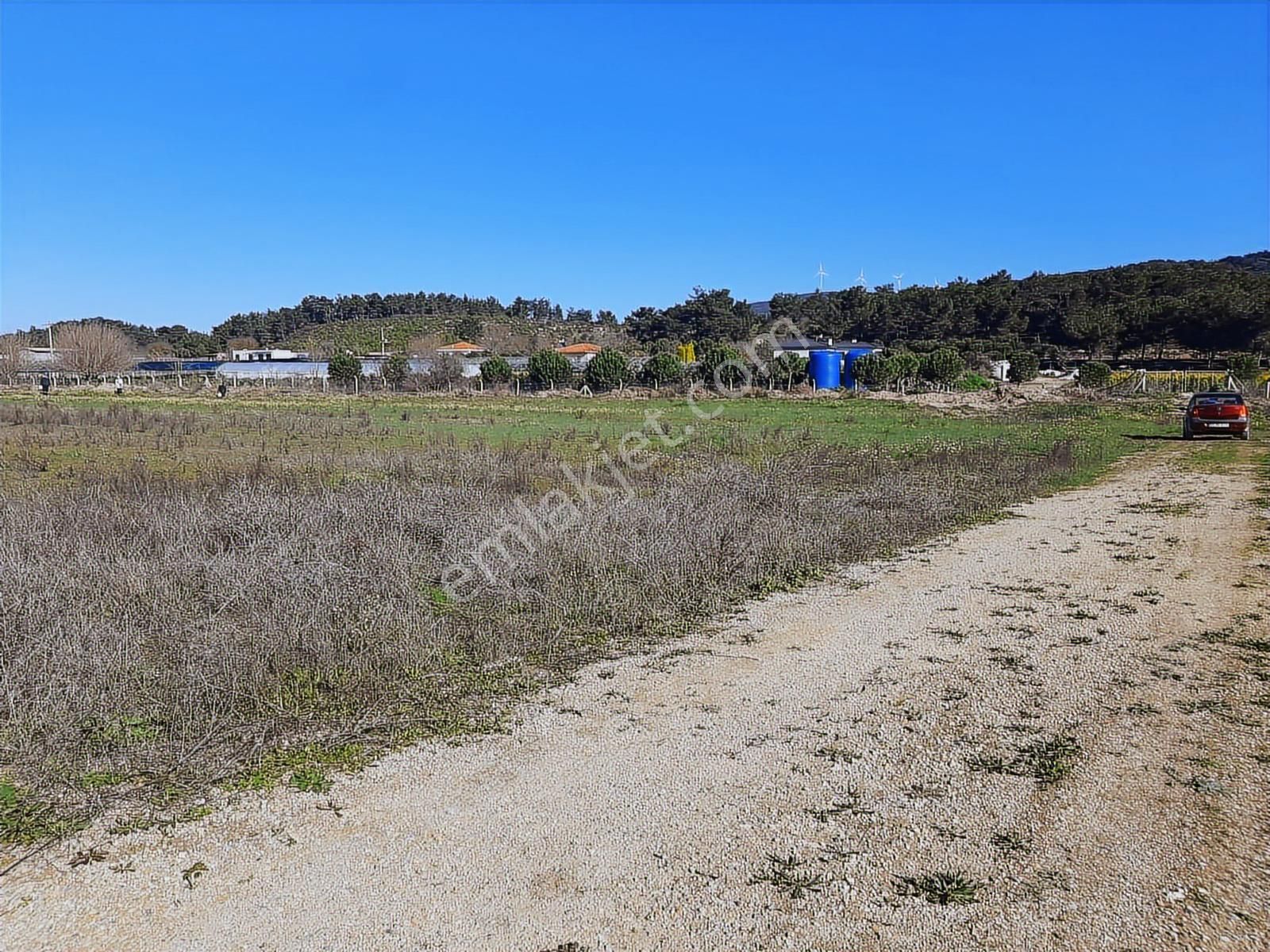 Urla Birgi Köyü'nde Resmi Yolu Mevcut, Dere Cepheli Tarla - Görsel 24