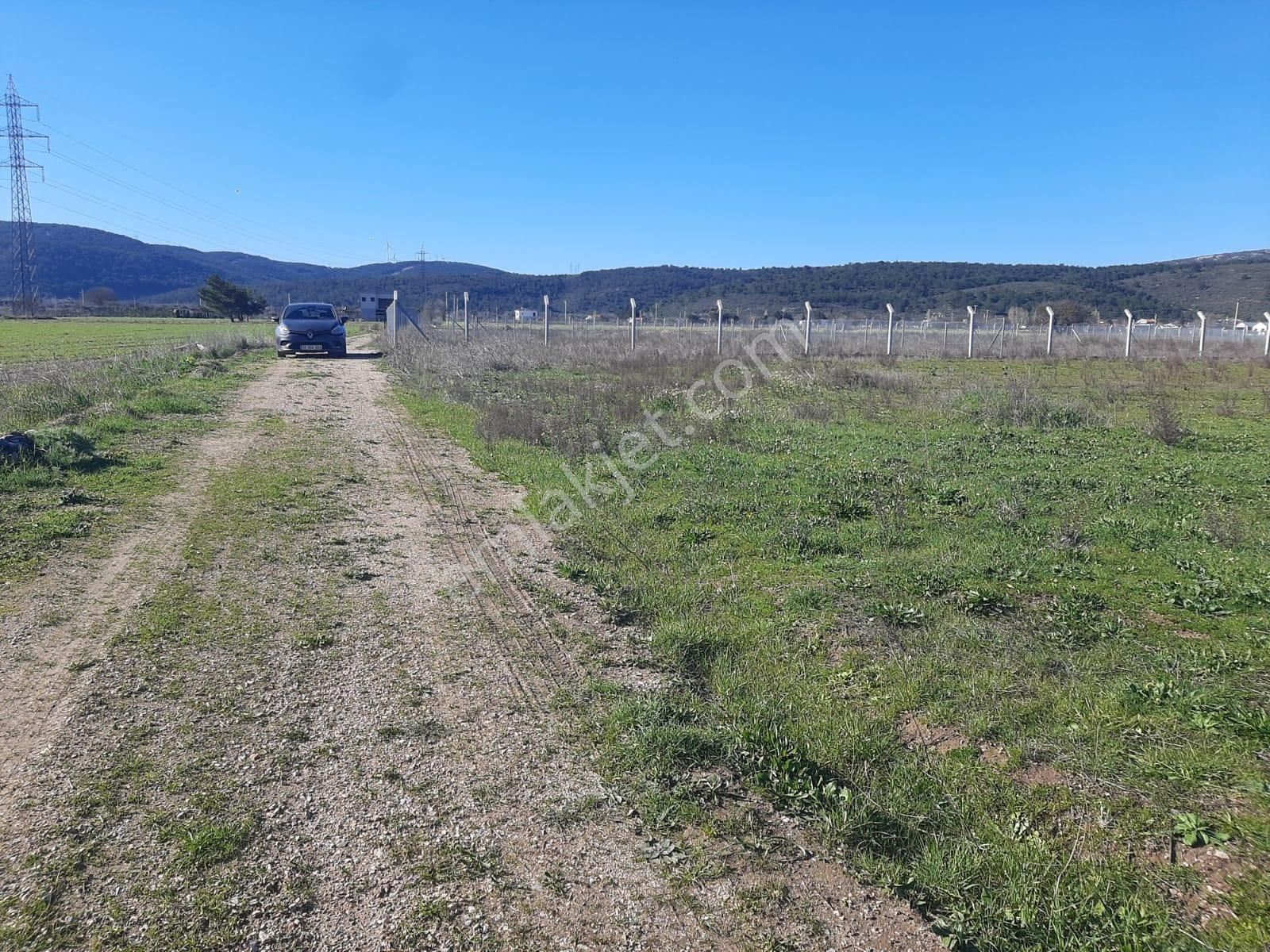 Urla Birgi Köyü'nde Resmi Yolu Mevcut, Dere Cepheli Tarla - Görsel 12
