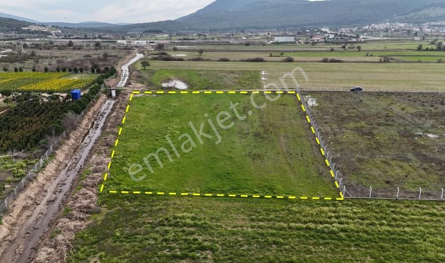 Urla Birgi Köyü'nde Resmi Yolu Mevcut, Dere Cepheli Tarla - Görsel 23