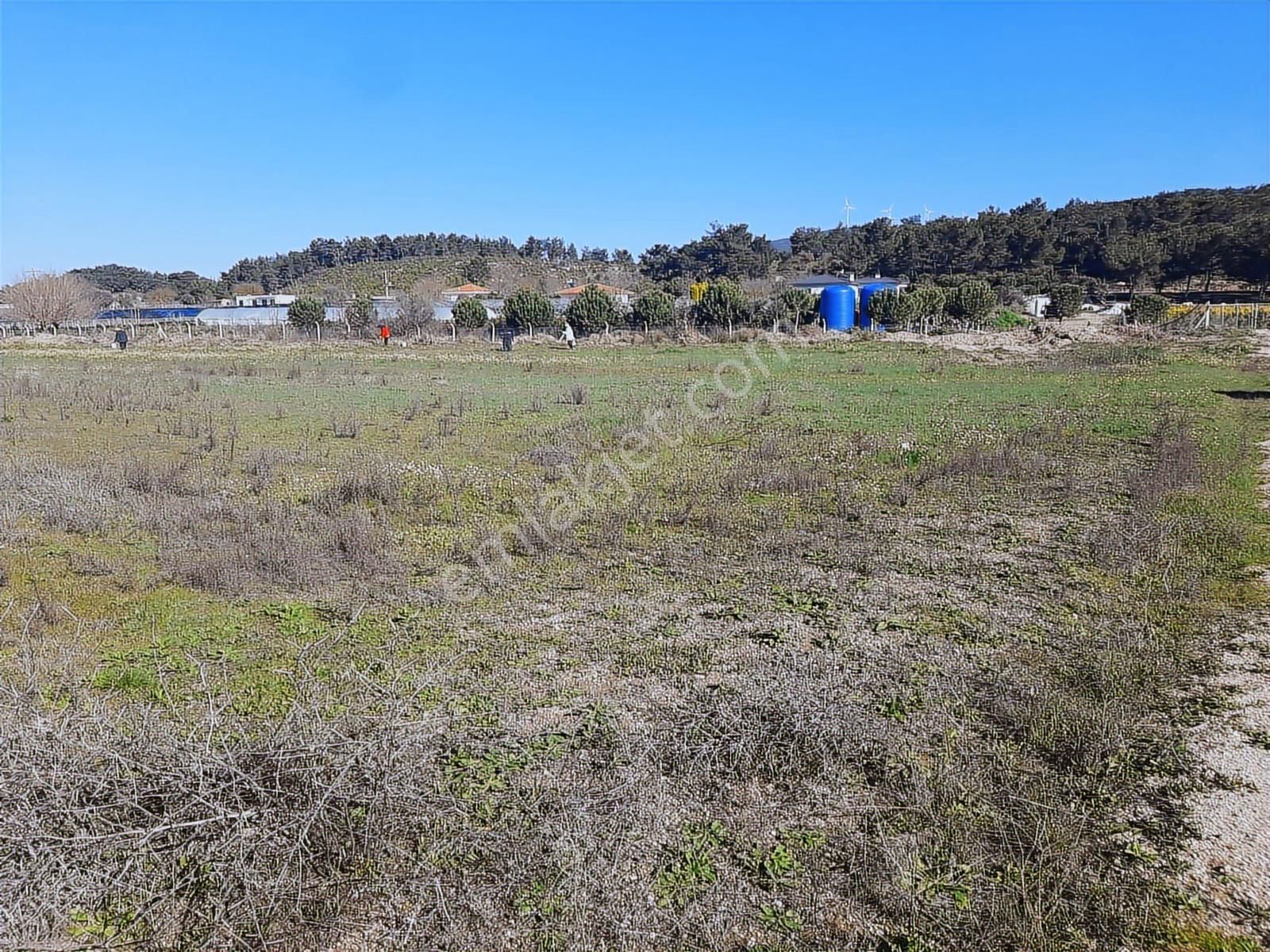 Urla Birgi Köyü'nde Resmi Yolu Mevcut, Dere Cepheli Tarla - Görsel 22