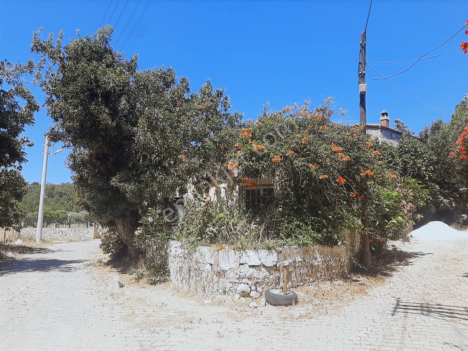 Urla Birgi Köy Merkezinde Satılık İki Ayrı Bölümlü Ev - Görsel 9