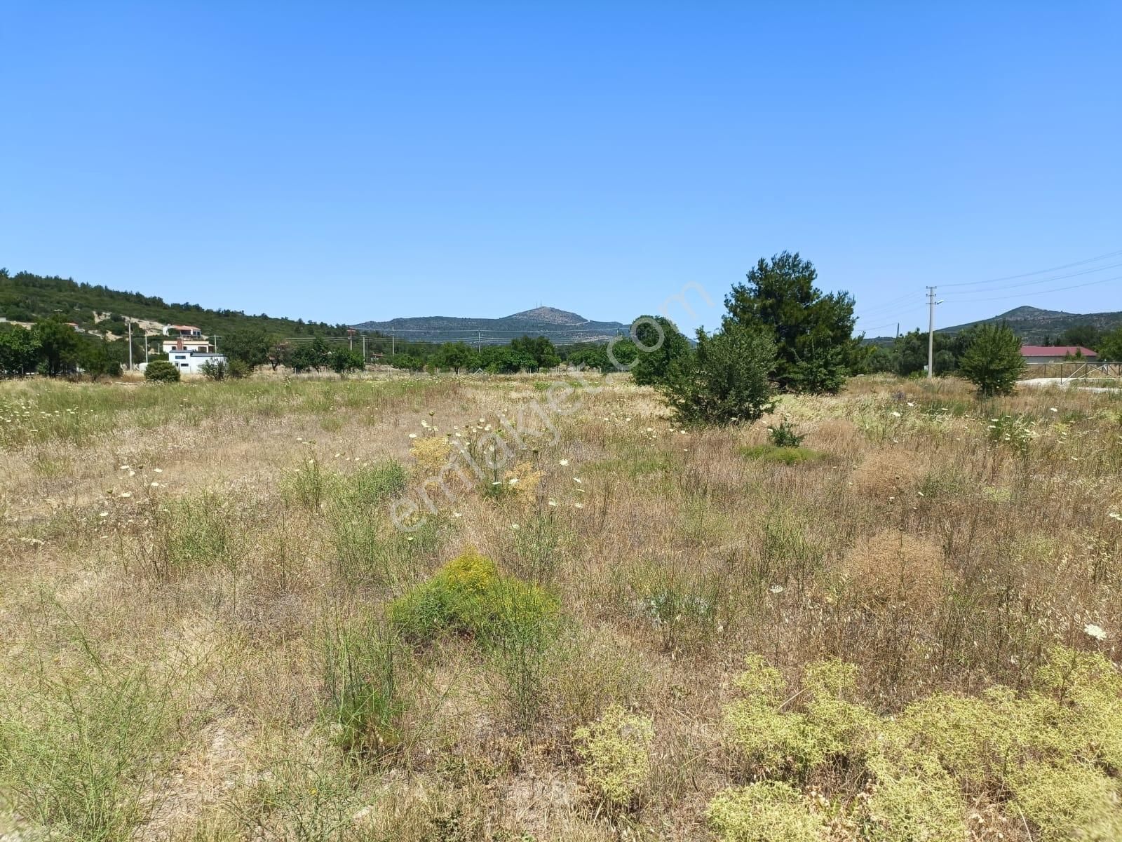Urla Barbaros Köyü'nde Ildır Yoluna Yakın Arazi - Görsel 7