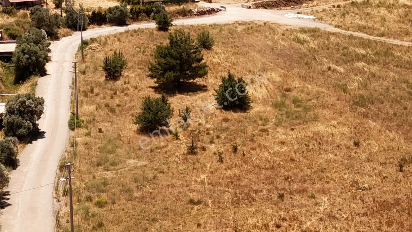 Urla Barbaros Köyü'nde Ildır Yoluna Yakın Arazi - Görsel 2