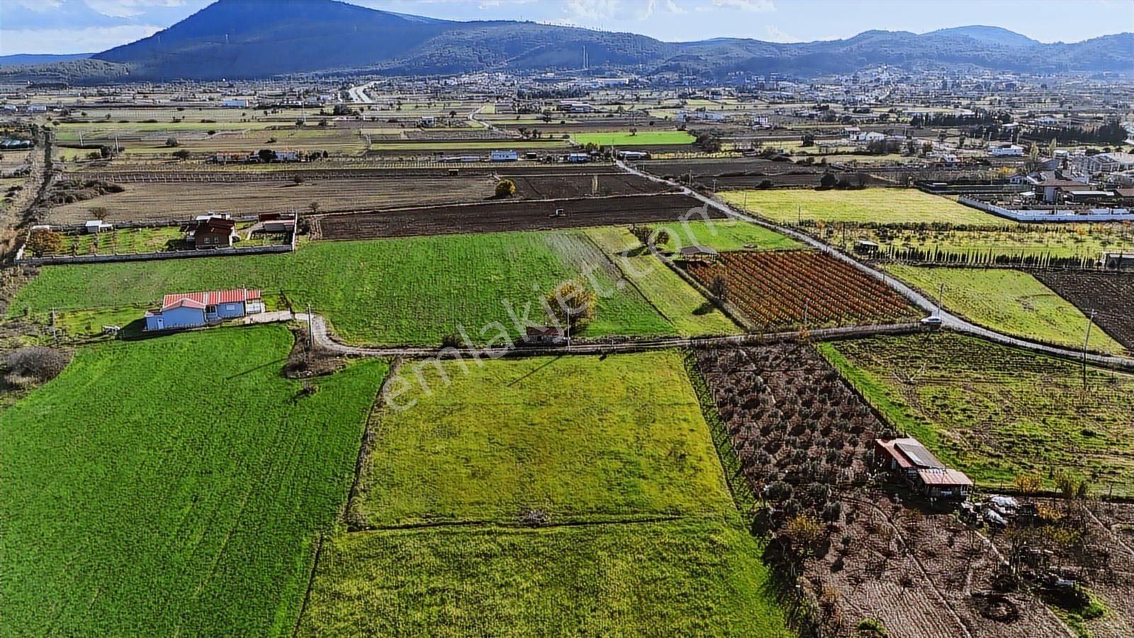 Birgi'de Merkezi Konumda, Yatırıma Uygun Tarla - Görsel 5