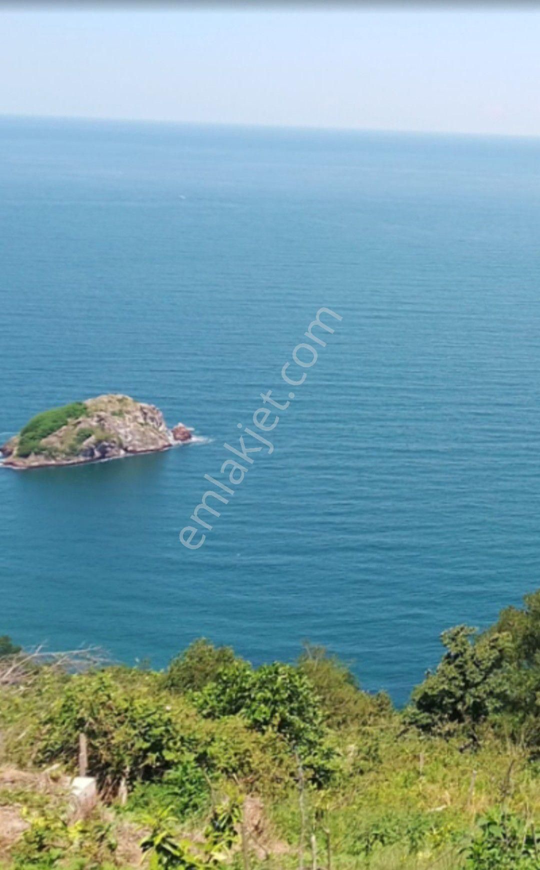 Hoynat Bunkolavın Bitişiğinde Satılık İmarlı 2000m2 Arazi Satılık