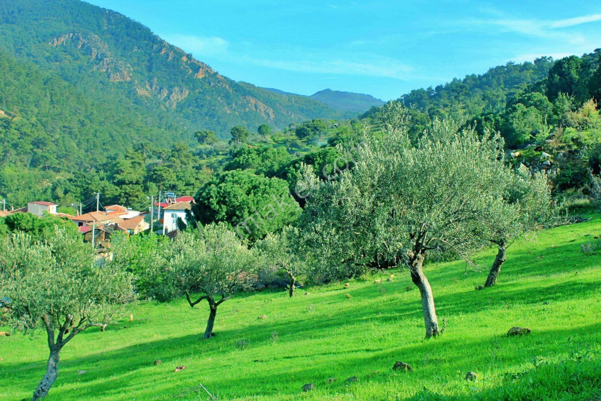 Uytun'dan Havran Köylücede %40 İmarlı 1052 M2 Uygun Fiyatlı Arsa - Görsel 7