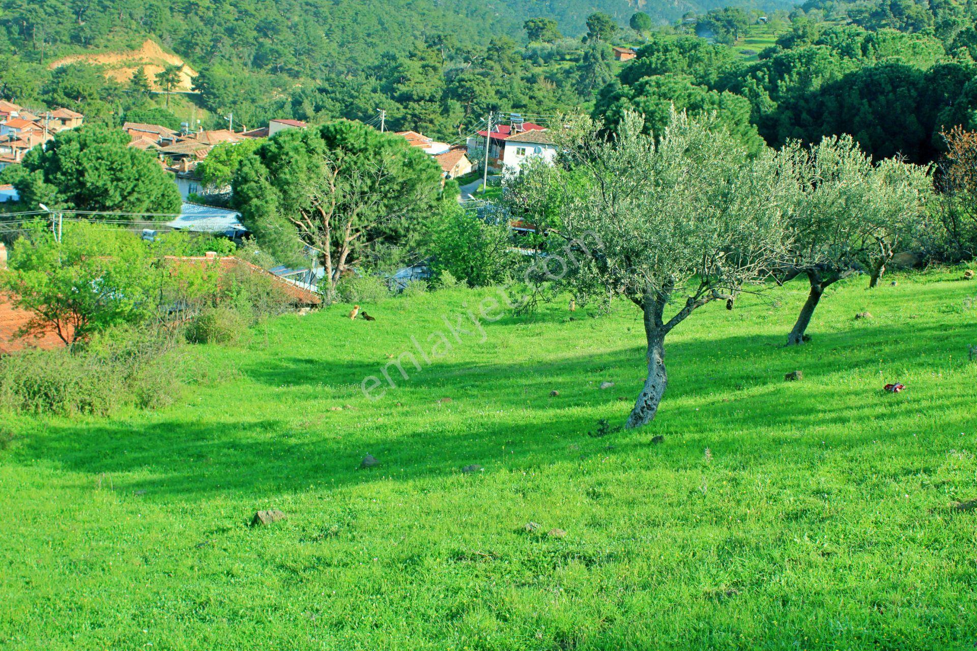 Uytun'dan Havran Köylücede %40 İmarlı 1052 M2 Uygun Fiyatlı Arsa - Görsel 9