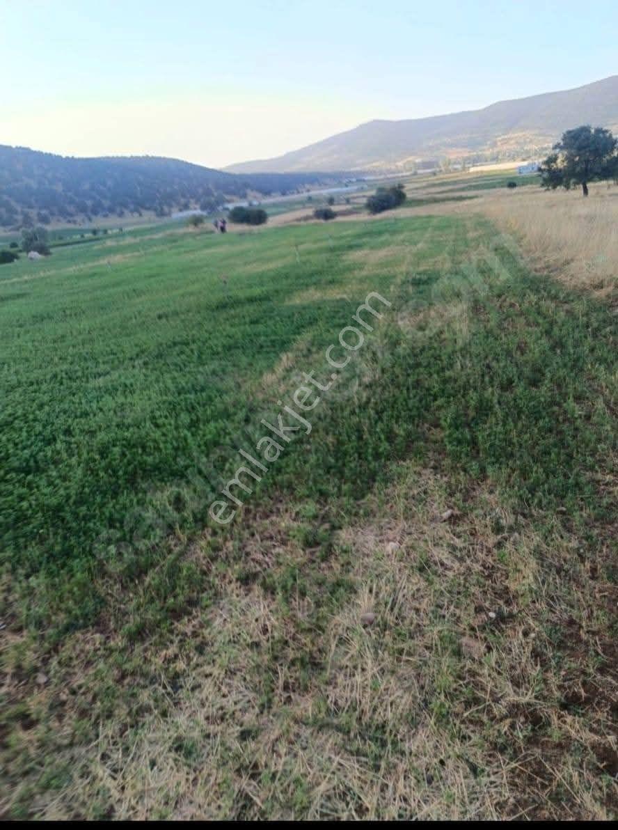 Fiyat Düştü Acil Seydikemer Doğanlarda Satılık 3.112m2 Tarla - Görsel 10