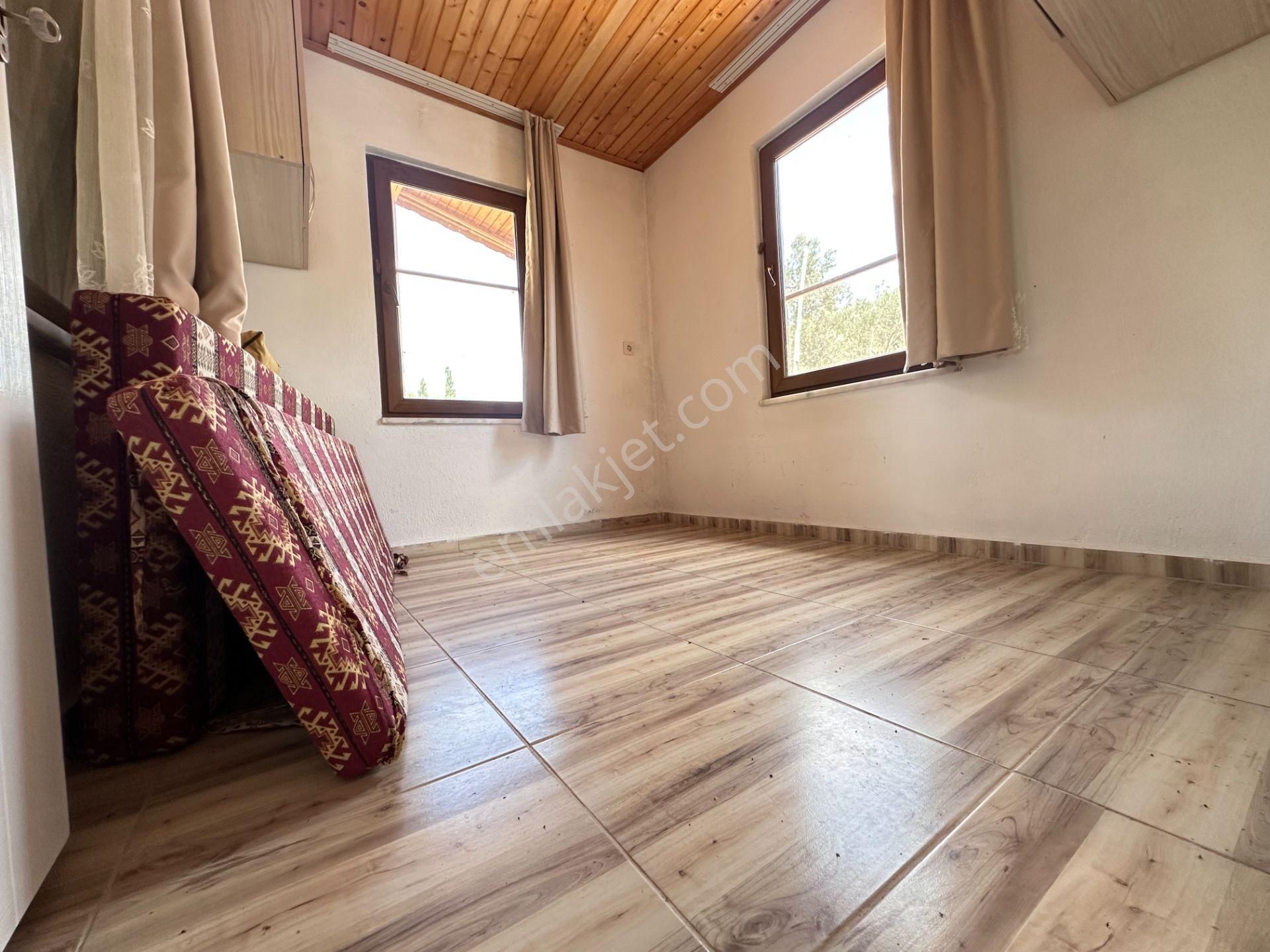 Mera Emlaktan Dereli Köyünde Ev+dam+su+ Mevcut 9.775m2 Zeytinlik - Görsel 4