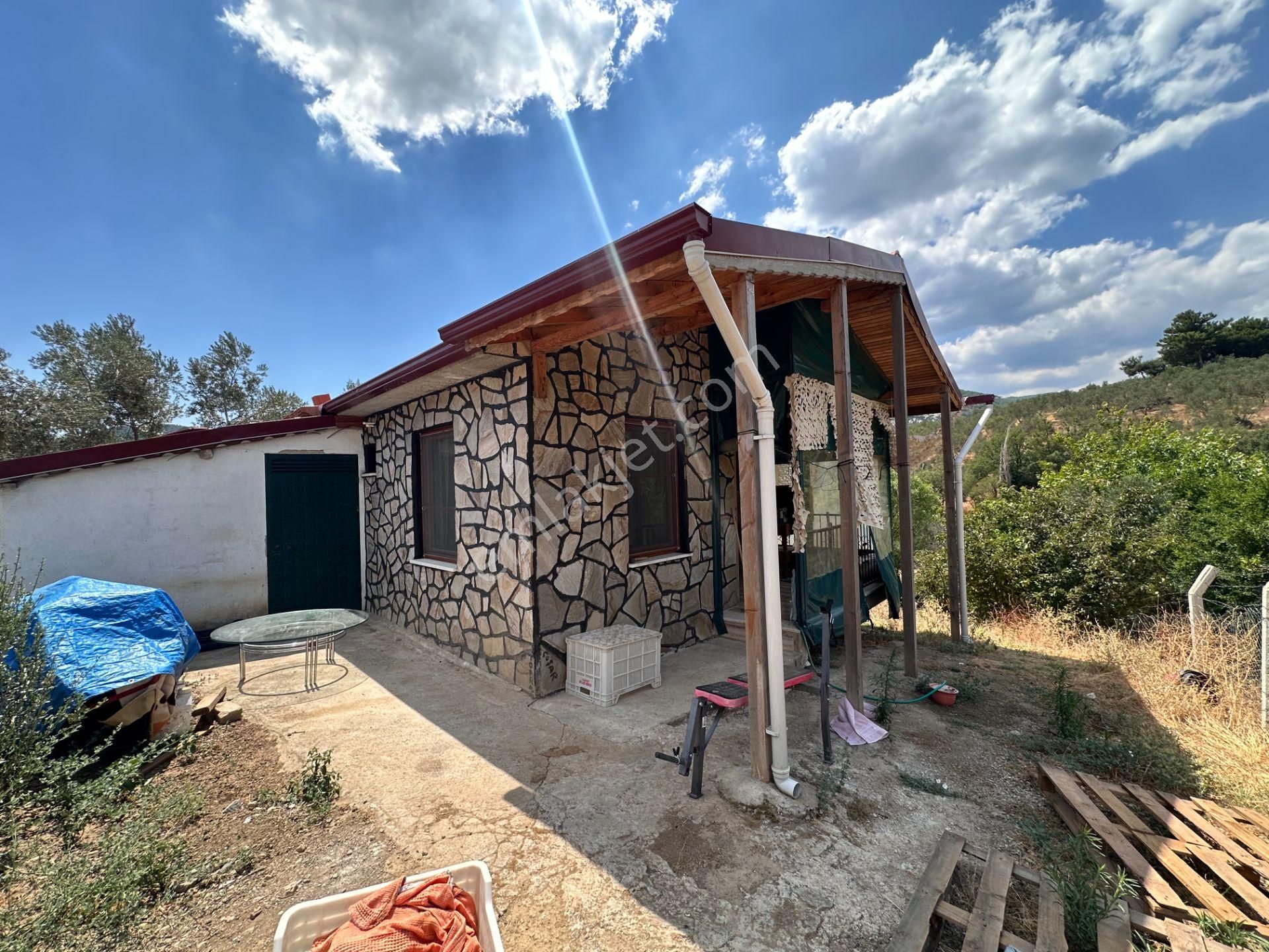 Mera Emlaktan Dereli Köyünde Ev+dam+su+ Mevcut 9.775m2 Zeytinlik - Görsel 20