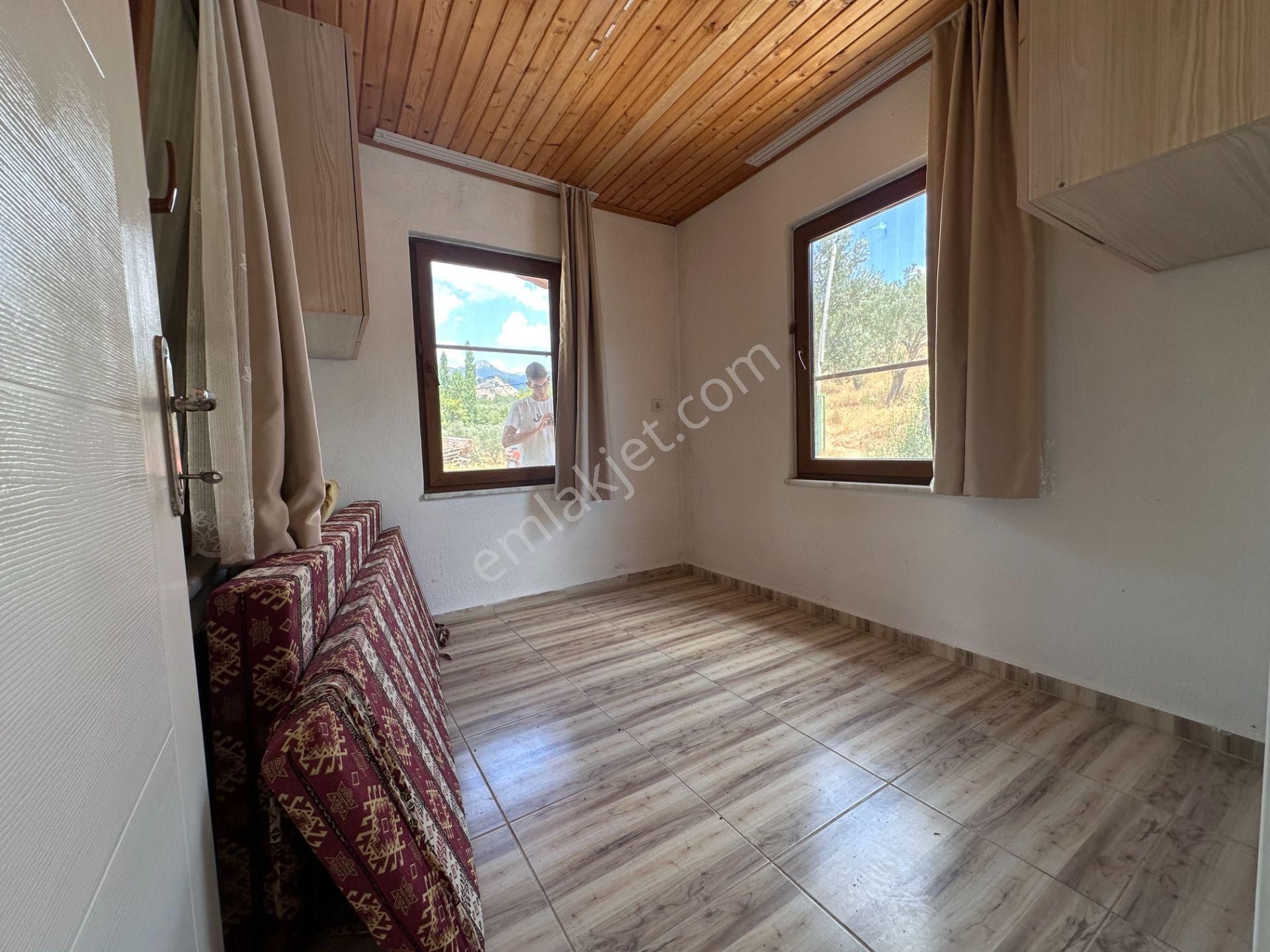 Mera Emlaktan Dereli Köyünde Ev+dam+su+ Mevcut 9.775m2 Zeytinlik - Görsel 9
