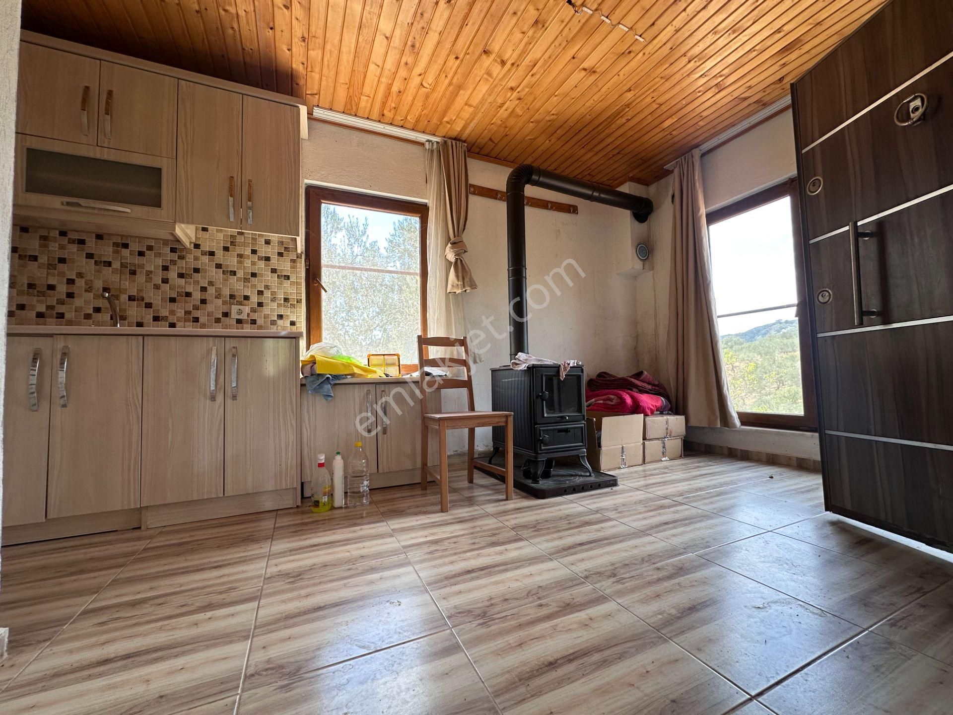 Mera Emlaktan Dereli Köyünde Ev+dam+su+ Mevcut 9.775m2 Zeytinlik - Görsel 13