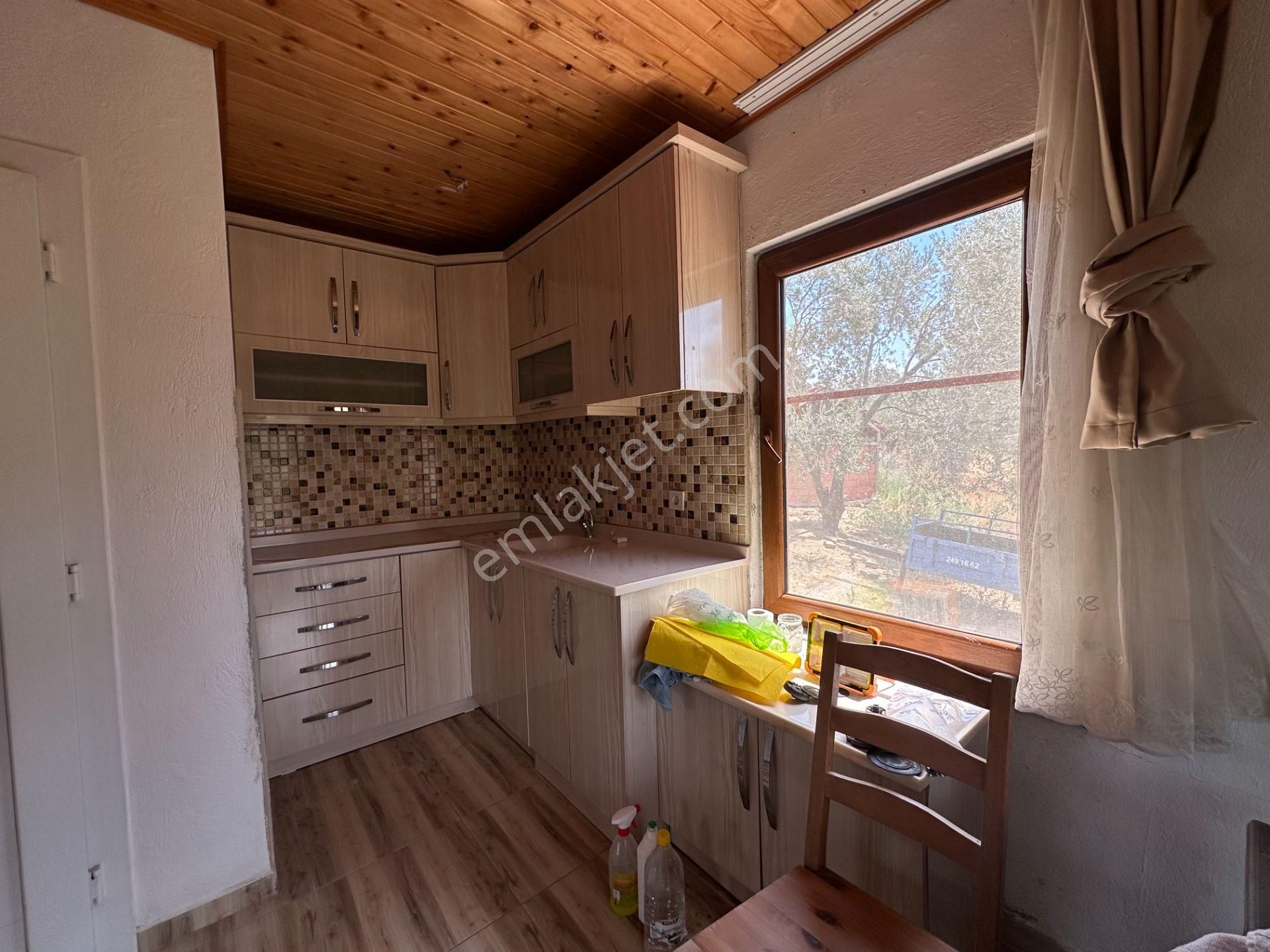 Mera Emlaktan Dereli Köyünde Ev+dam+su+ Mevcut 9.775m2 Zeytinlik - Görsel 15