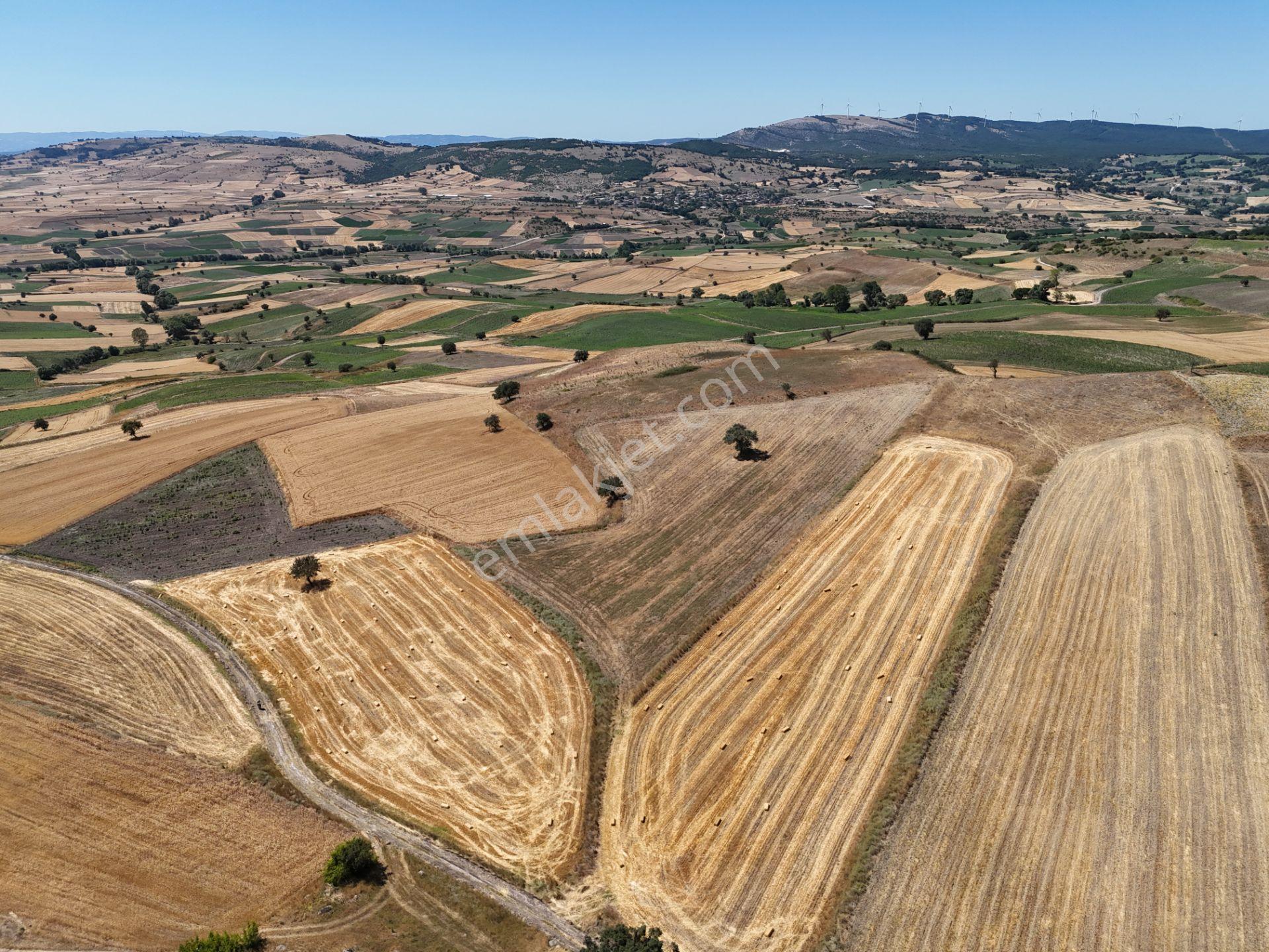 Karesi Kamçıllı Mah.yatırımlık Ve Tarıma Elverişli Satılık Tarla - Görsel 6