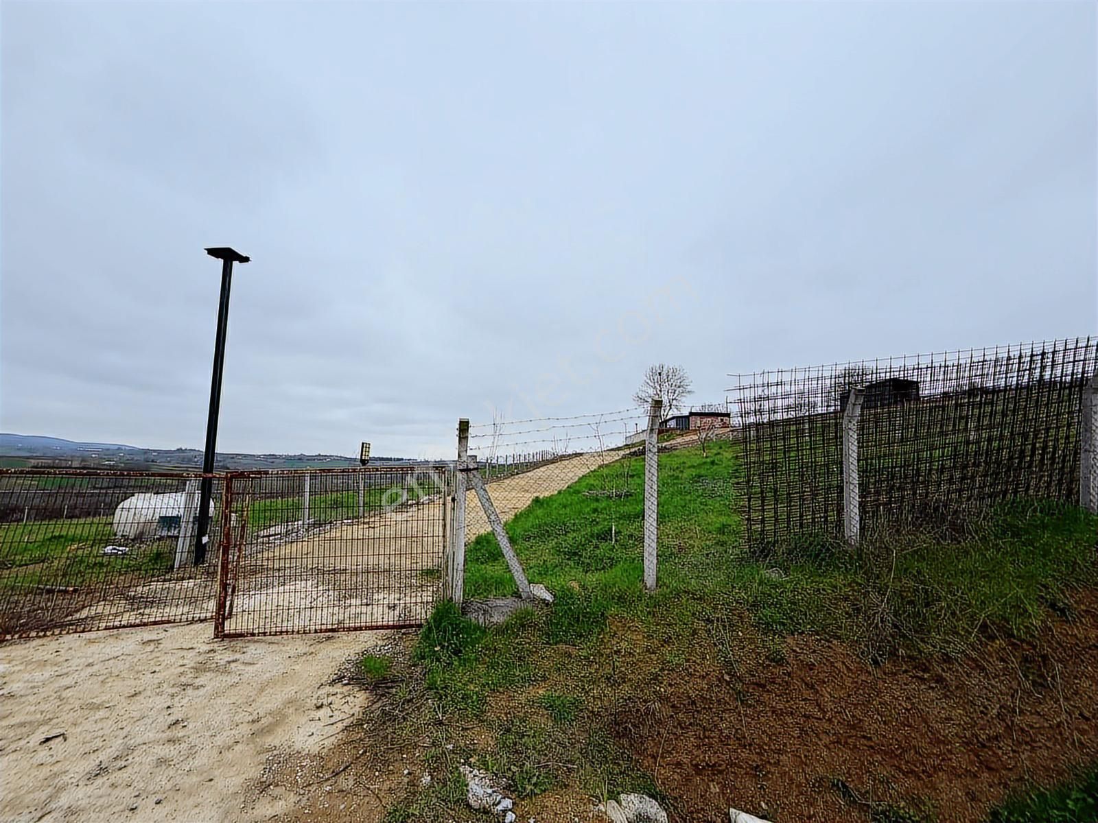 Adapazarı Karadere'de 1500m2 Satılık Fırsat - Görsel 5