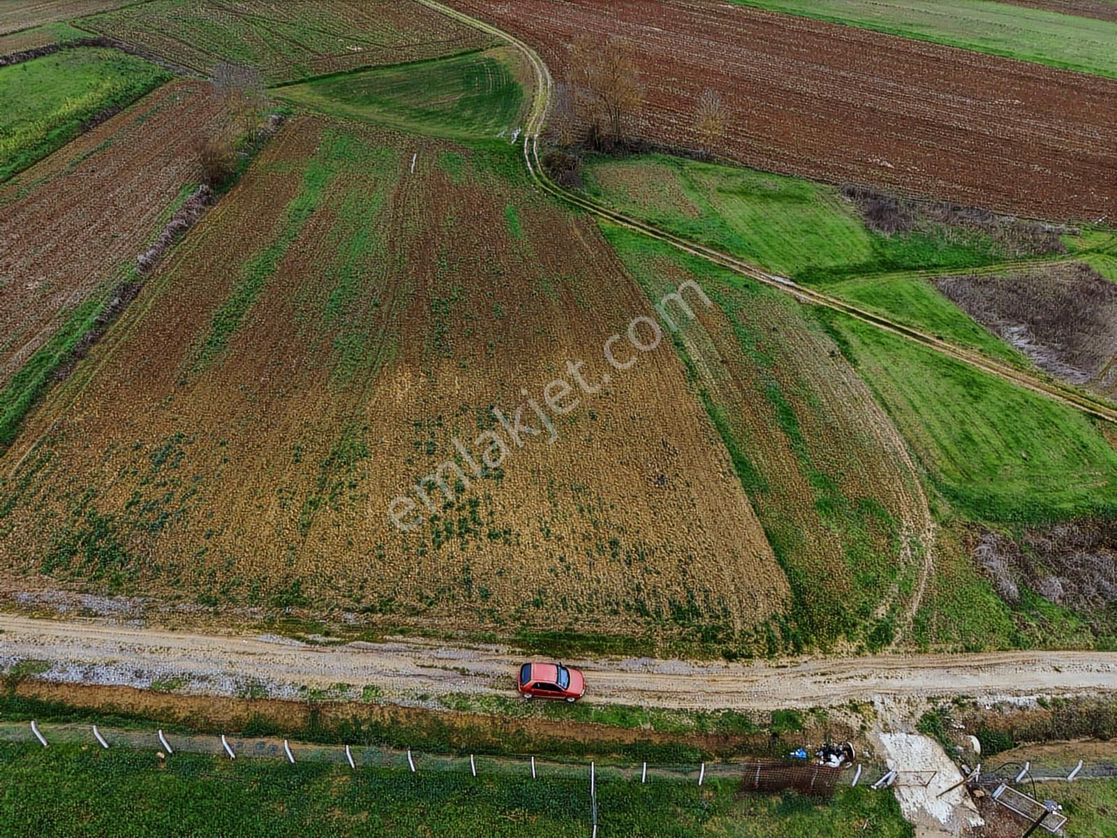 Adapazarı Karadere'de 1500m2 Satılık Fırsat