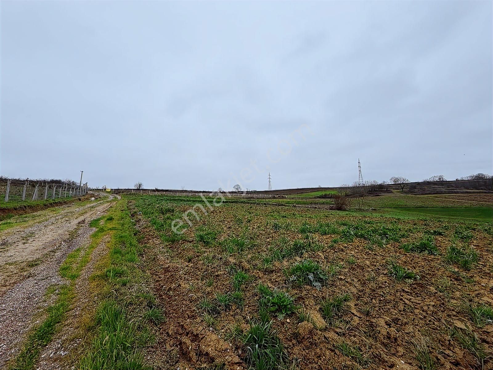 Adapazarı Karadere'de 1500m2 Satılık Fırsat - Görsel 10