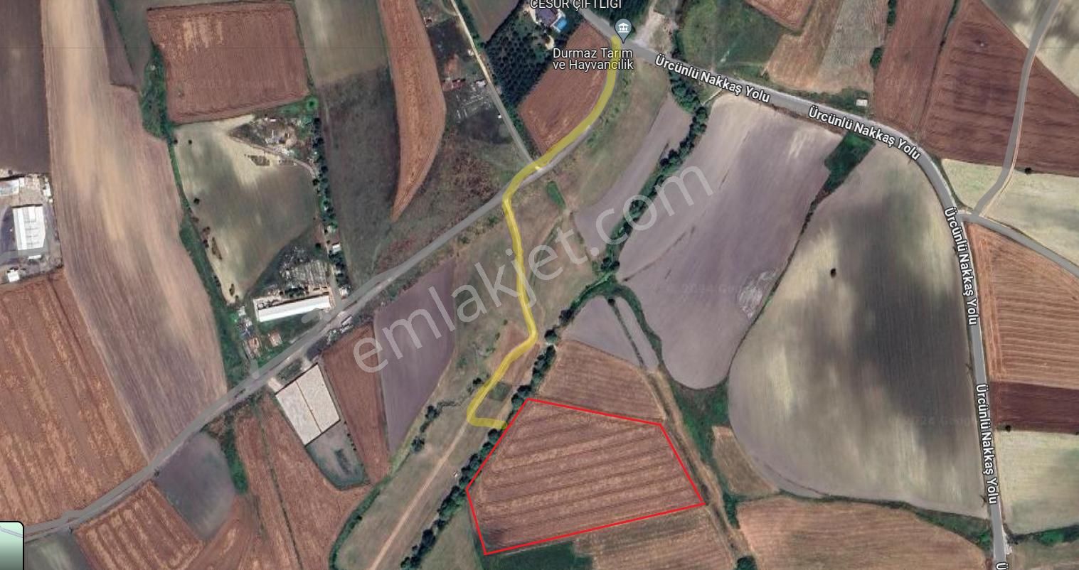 Çatalca Nakkaş'ta Sahibinden Tarla - Görsel 3