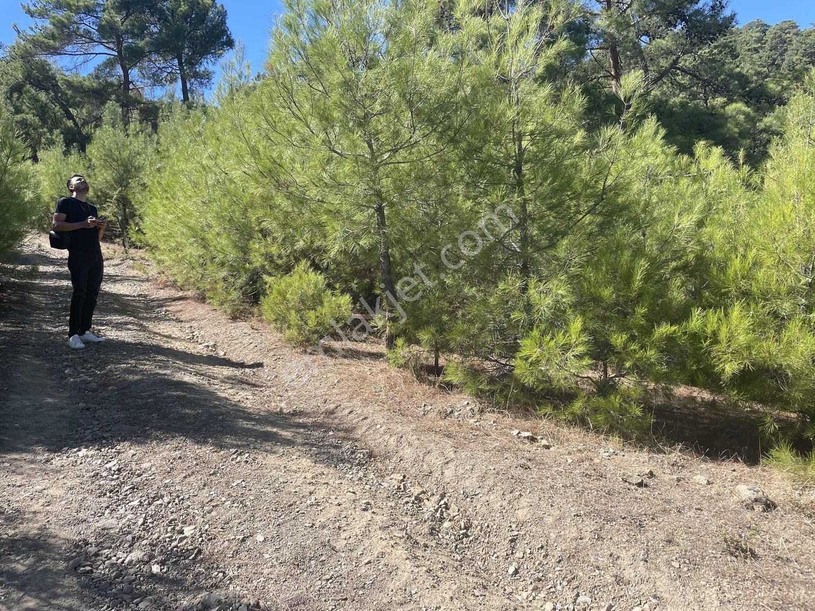 Muğla Menteşe Çatakbağyaka Mahallesinde 623 M2 Satılık Tarla - Görsel 11