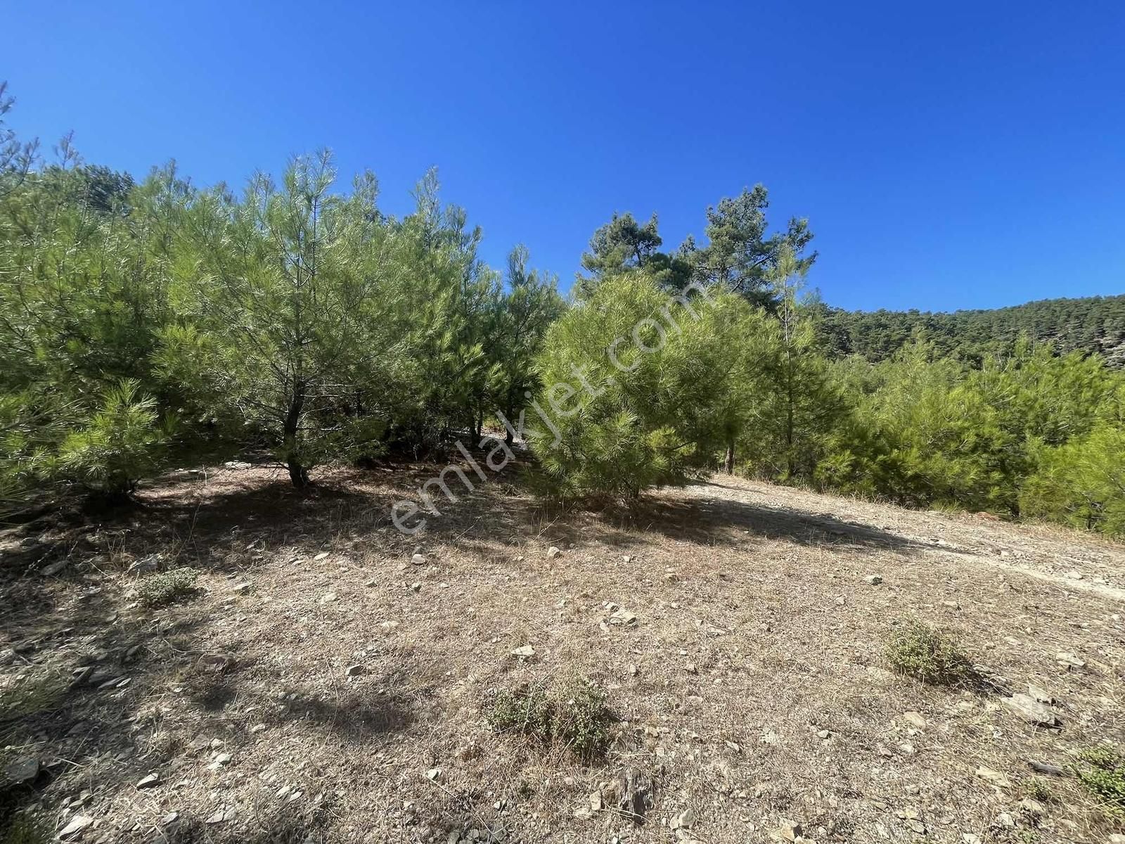 Muğla Menteşe Çatakbağyaka Mahallesinde 623 M2 Satılık Tarla - Görsel 14
