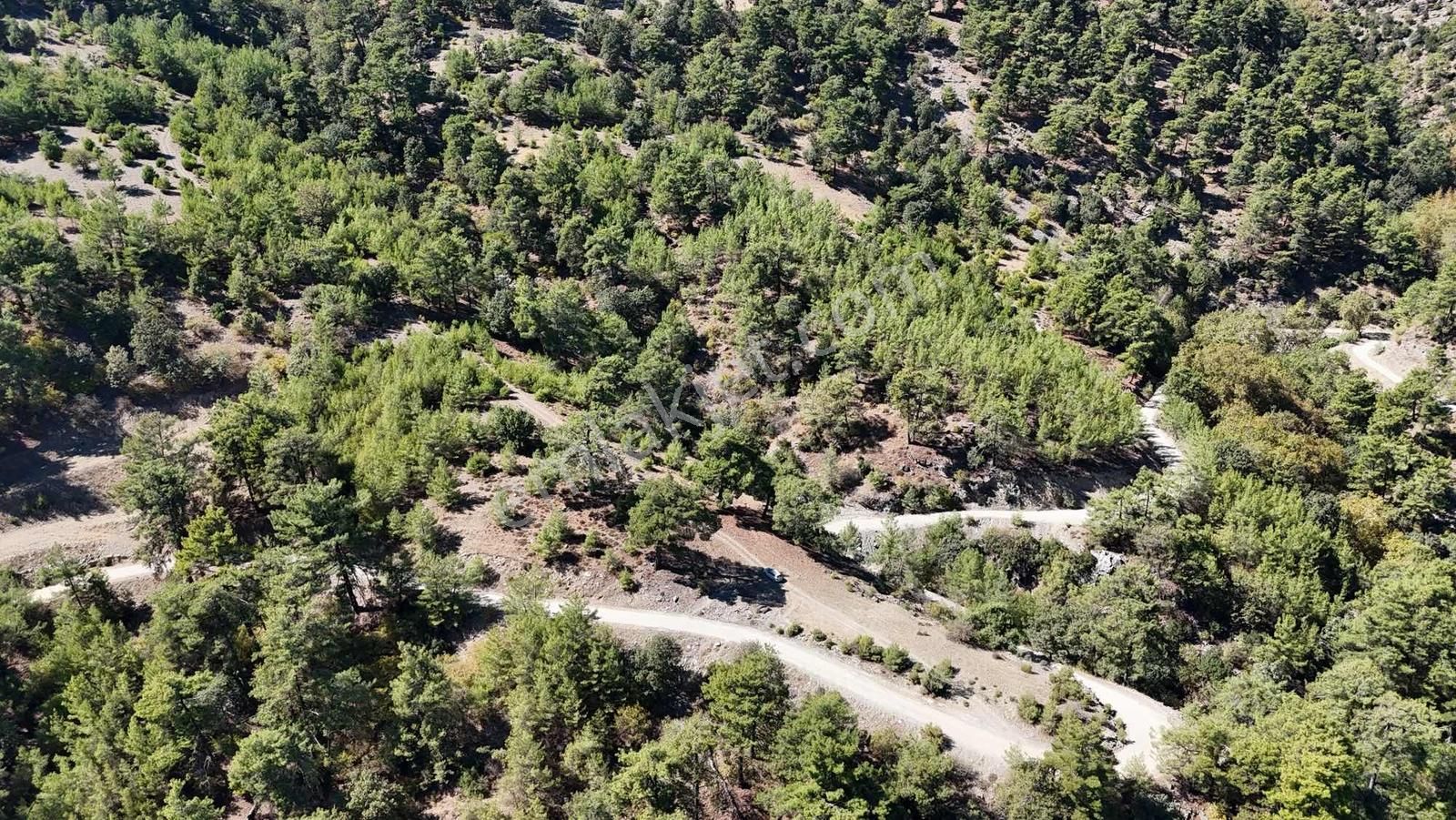 Muğla Menteşe Çatakbağyaka Mahallesinde 623 M2 Satılık Tarla - Görsel 13