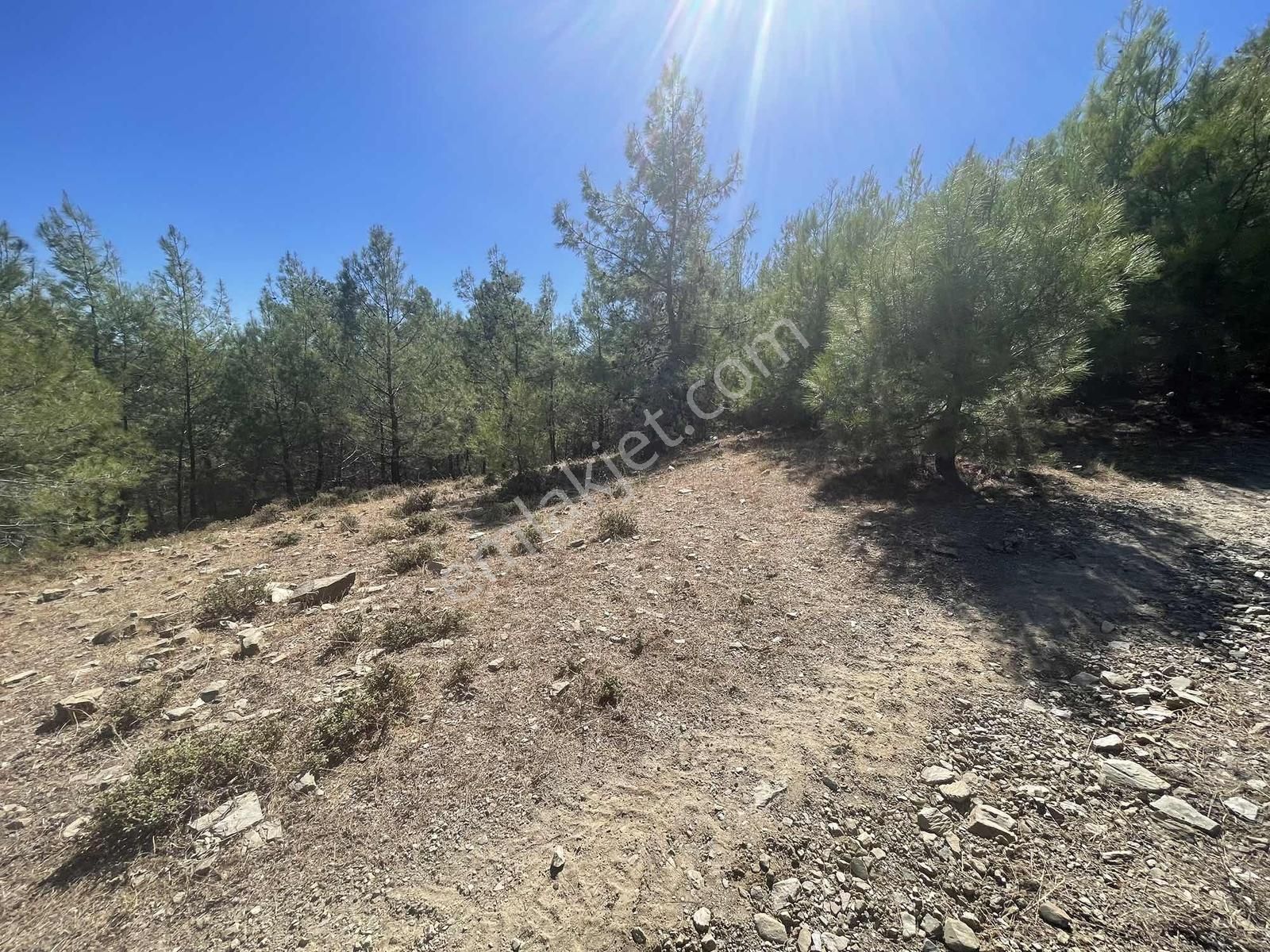 Muğla Menteşe Çatakbağyaka Mahallesinde 623 M2 Satılık Tarla - Görsel 18