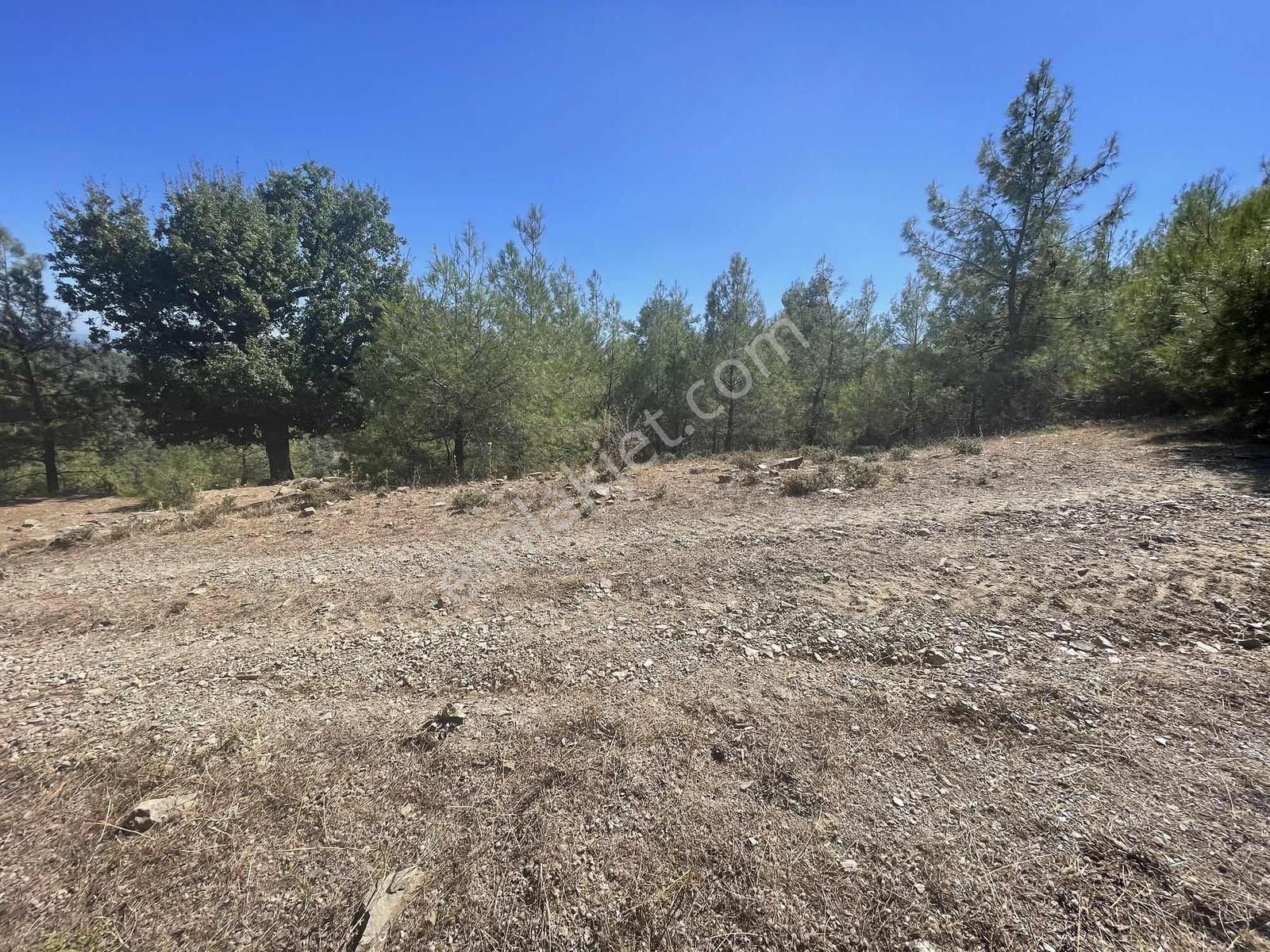 Muğla Menteşe Çatakbağyaka Mahallesinde 623 M2 Satılık Tarla - Görsel 2
