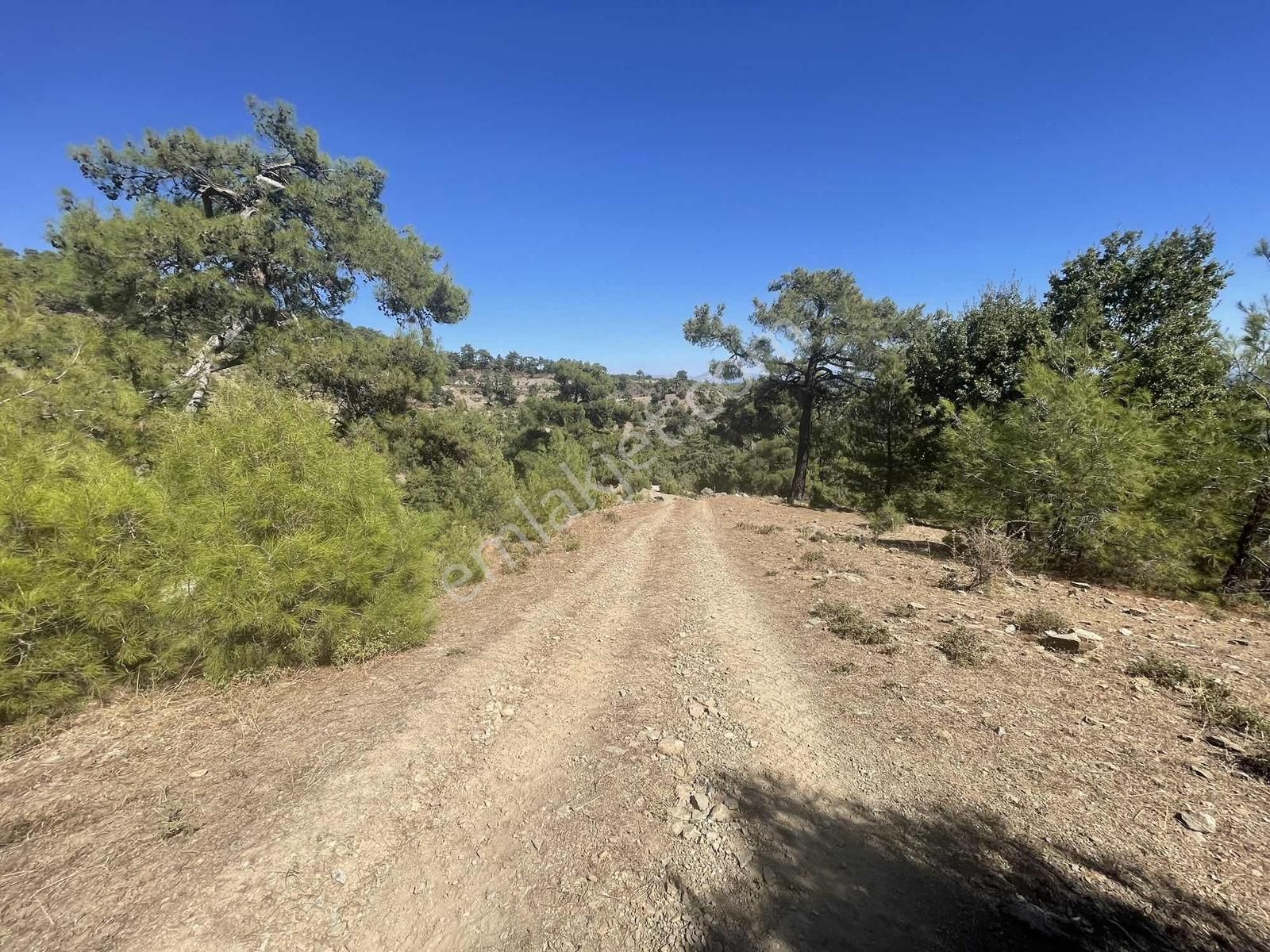 Muğla Menteşe Çatakbağyaka Mahallesinde 623 M2 Satılık Tarla - Görsel 16