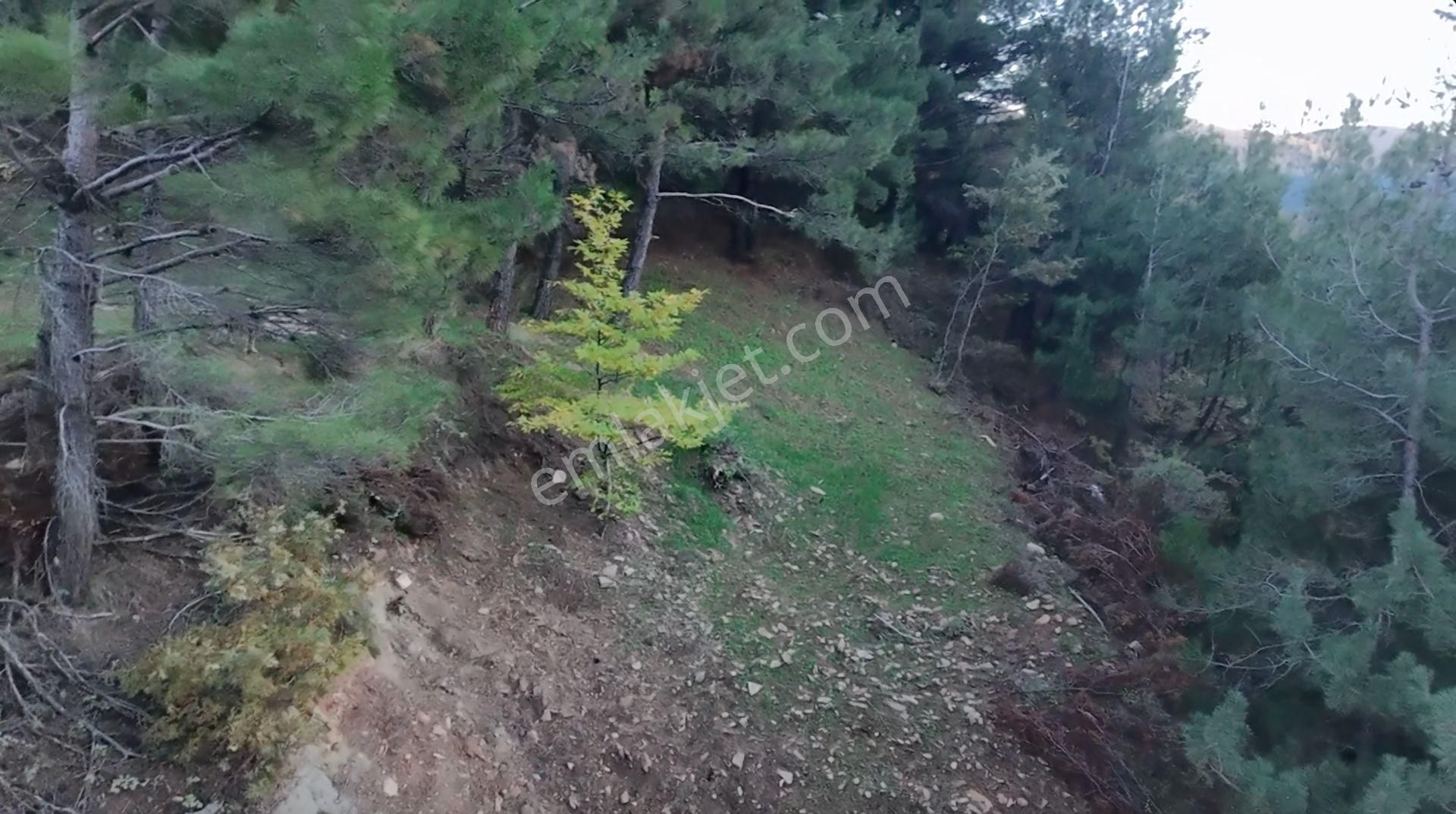 Kemalpaşa Bayramlı Ulaşımı Olan Müstakil Tapu 3231 M² Arazi - Görsel 3