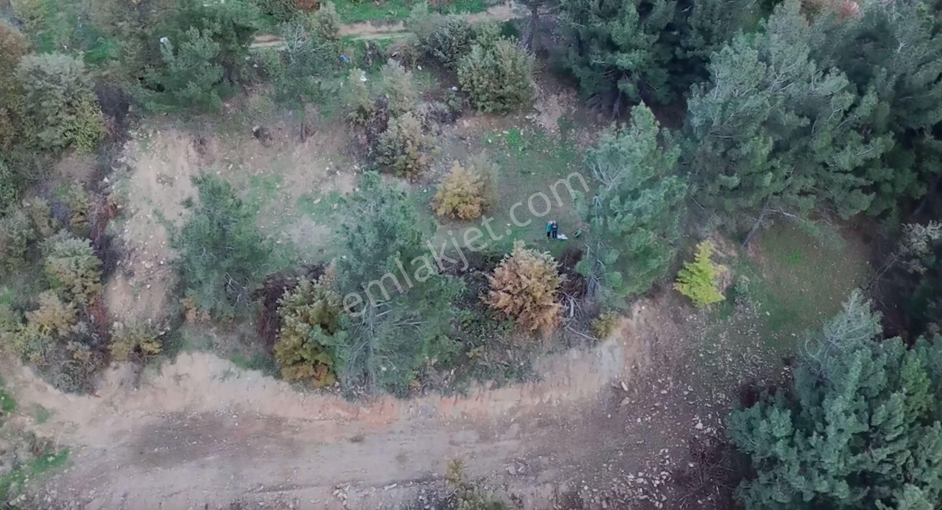 Kemalpaşa Bayramlı Ulaşımı Olan Müstakil Tapu 3231 M² Arazi - Görsel 5