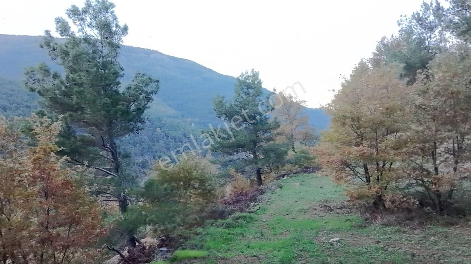 Kemalpaşa Bayramlı Ulaşımı Olan Müstakil Tapu 3231 M² Arazi - Görsel 6