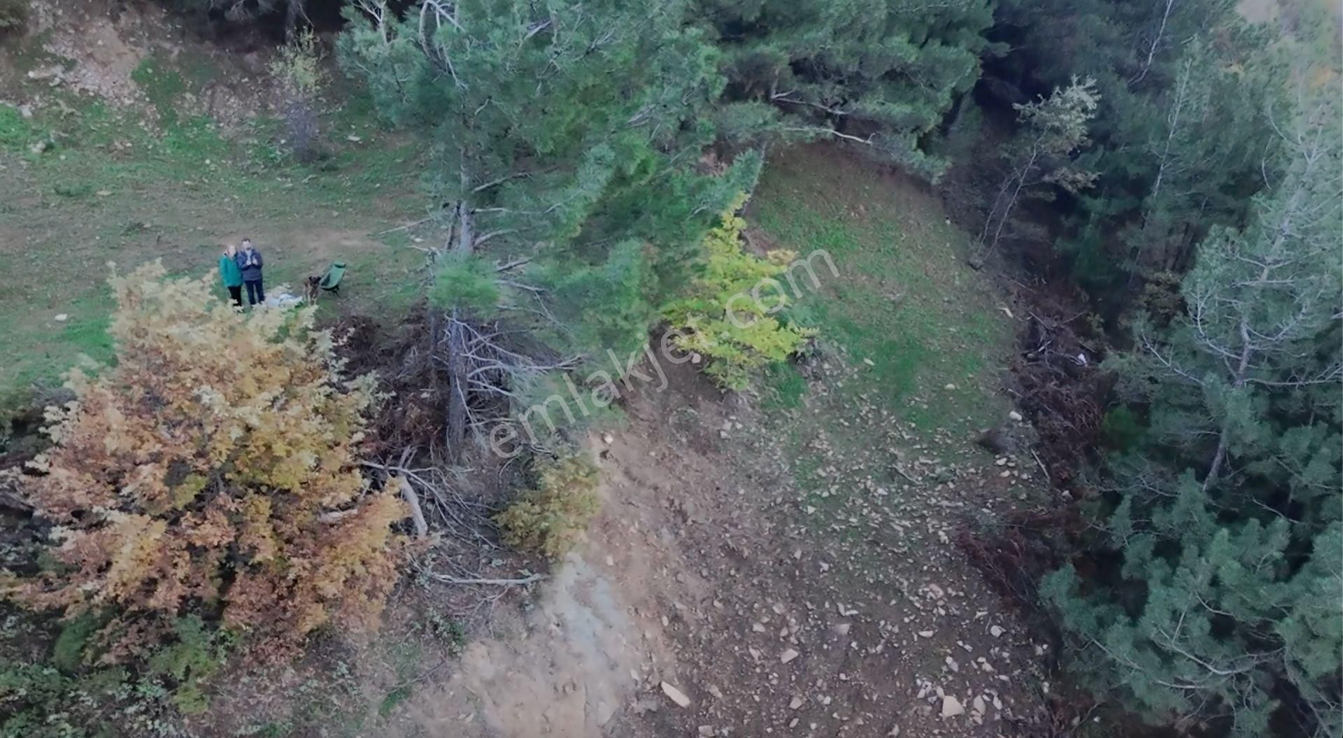 Kemalpaşa Bayramlı Ulaşımı Olan Müstakil Tapu 3231 M² Arazi - Görsel 4