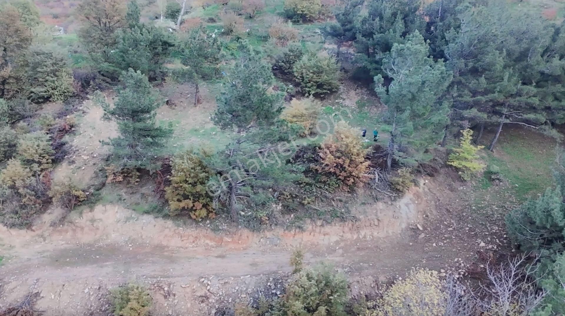 Kemalpaşa Bayramlı Ulaşımı Olan Müstakil Tapu 3231 M² Arazi