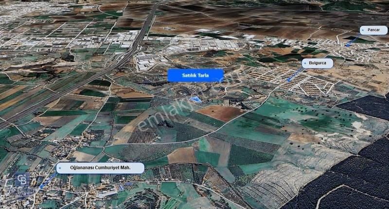 Menderes Bulgurca Da Satılık 7.630 M² Tarla - Görsel 4