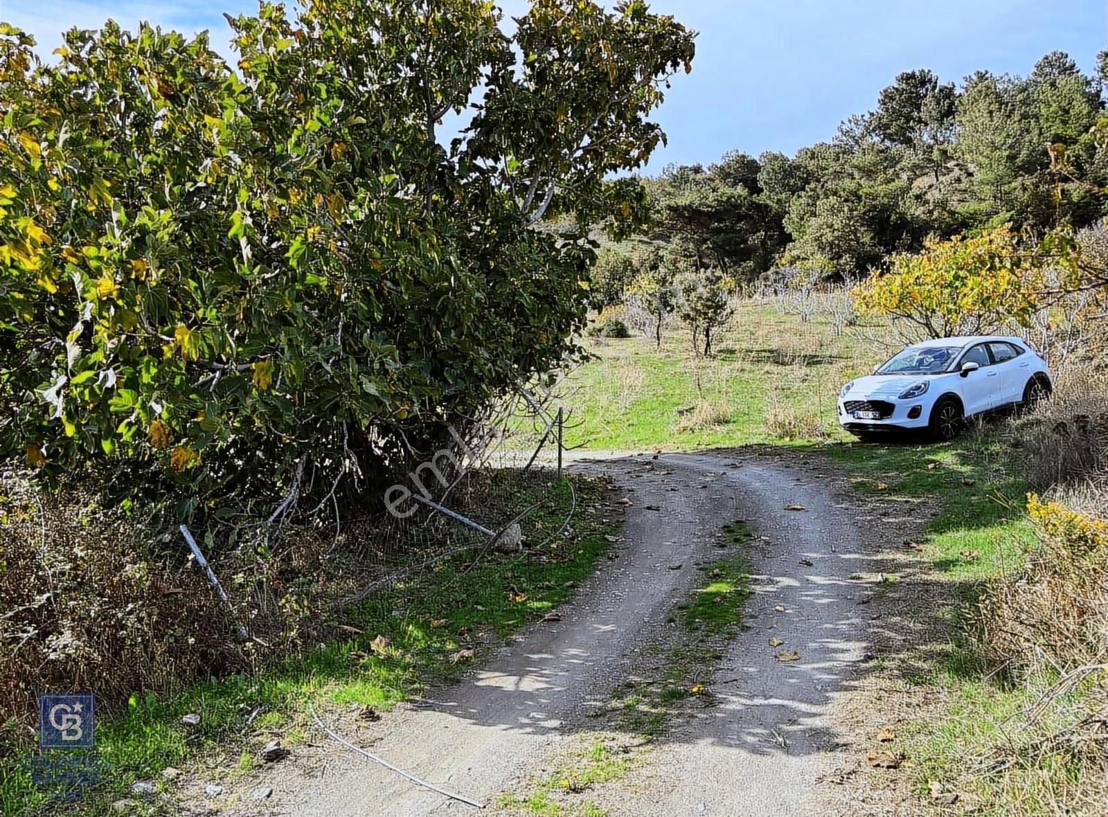 İzmir Kavacıkta Satılık Bağ - Görsel 9