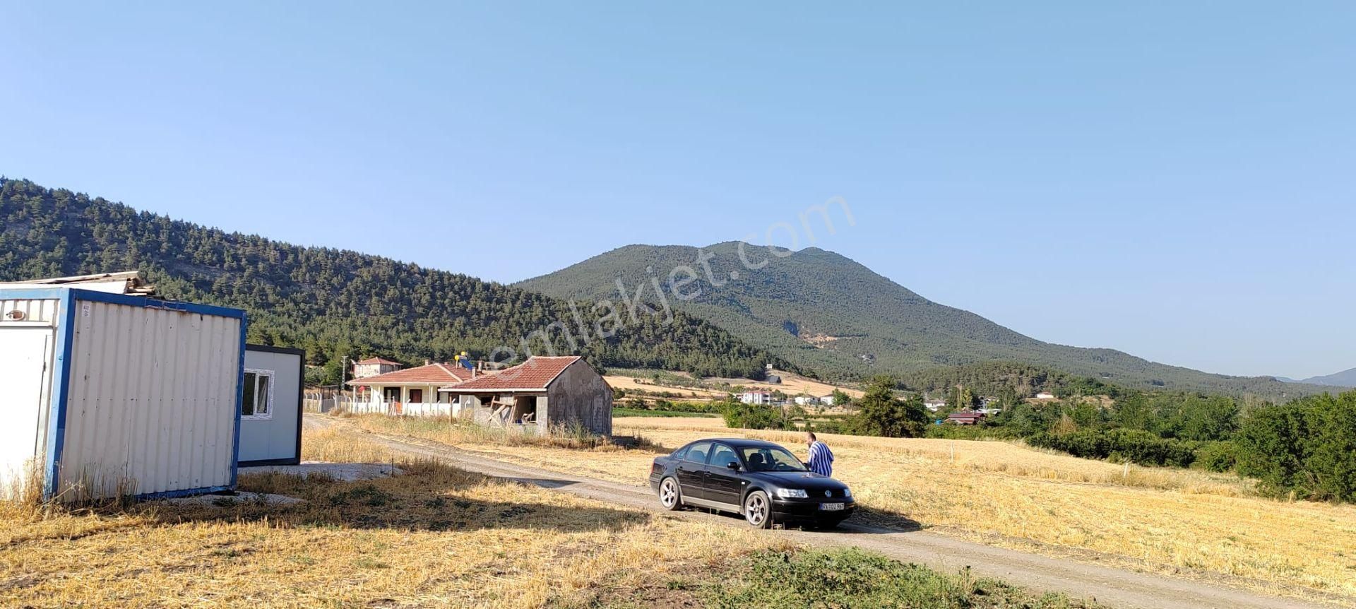 Sakarya Geyve Karacaören Hobi Bahçesi İçinde Konteynırlı Tarla. - Görsel 3
