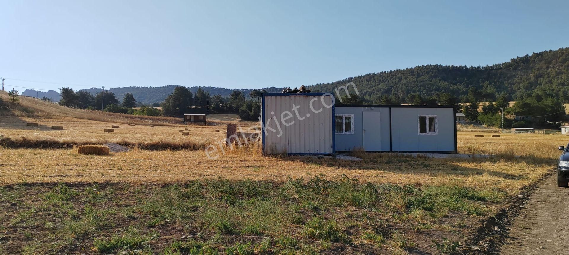 Sakarya Geyve Karacaören Hobi Bahçesi İçinde Konteynırlı Tarla.