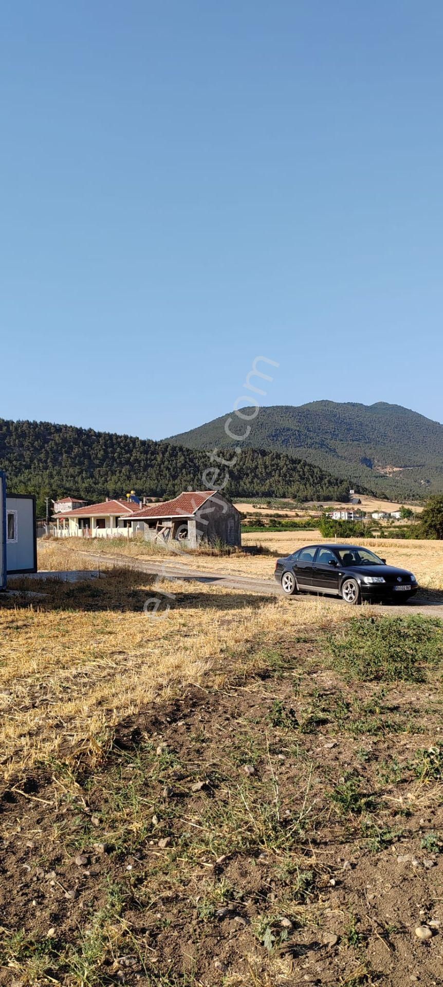 Sakarya Geyve Karacaören Hobi Bahçesi İçinde Konteynırlı Tarla. - Görsel 6